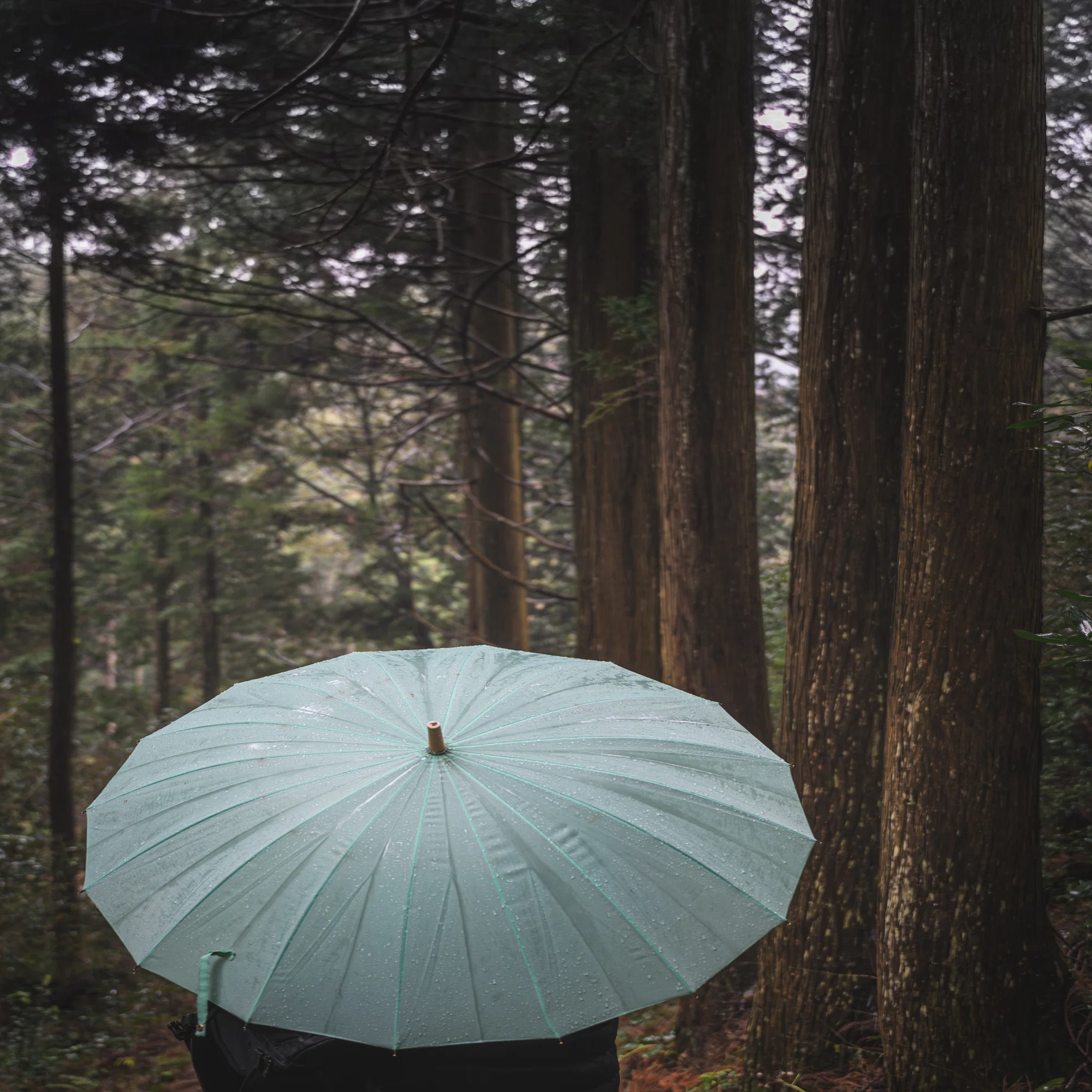 親友と撮る雨の日の写真たち｜ほびマガ
