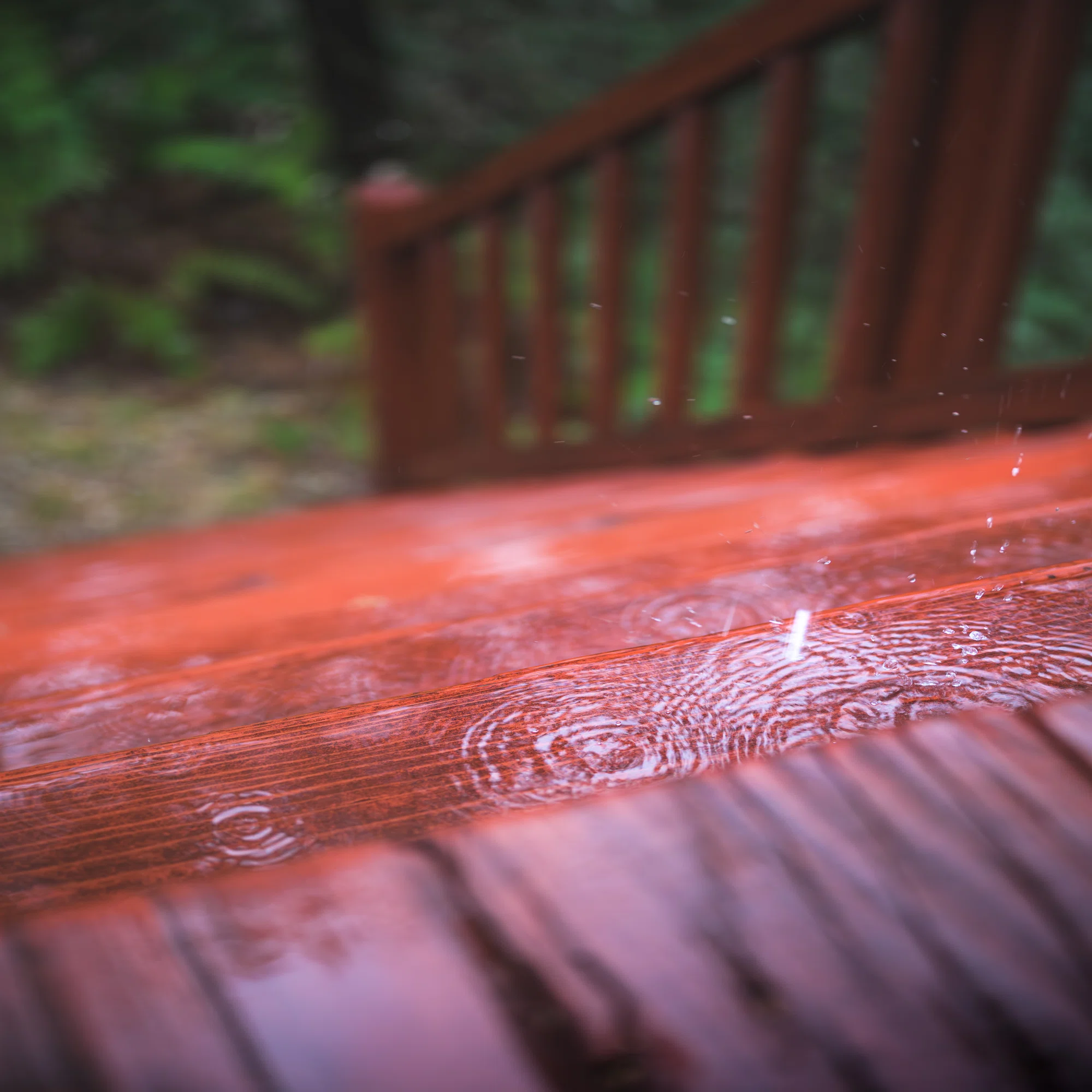 親友と撮る雨の日の写真たち｜ほびマガ