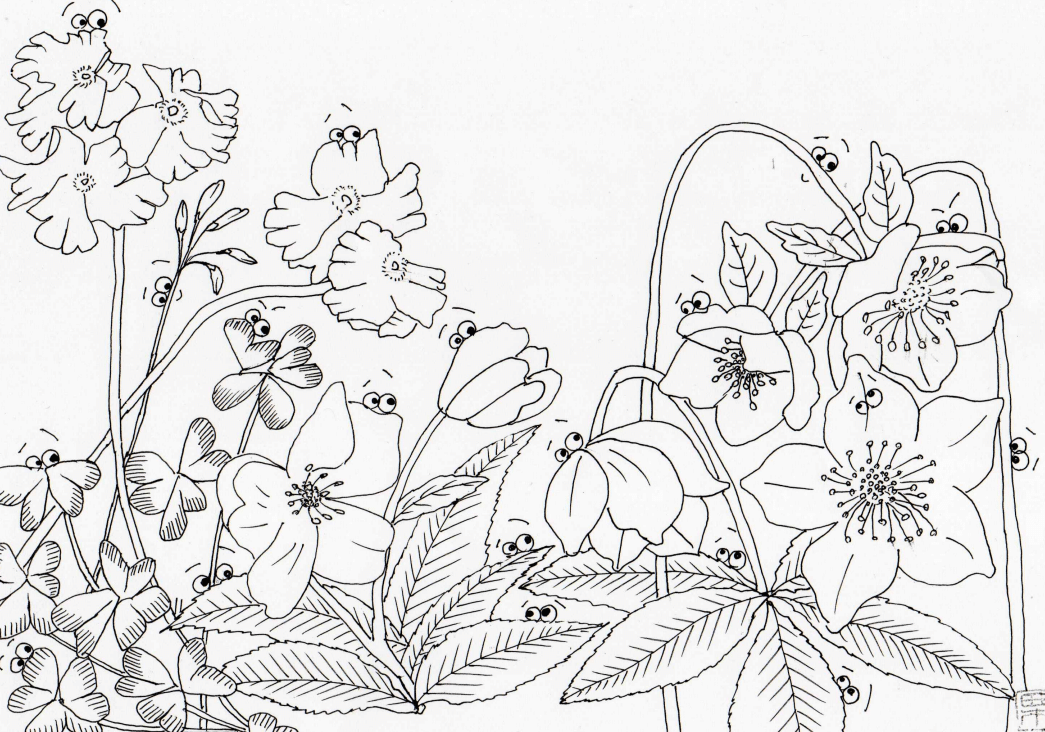 草花👀イラストを描く⑫ クリスマスローズ／オッタチカタバミ｜クリちゃん