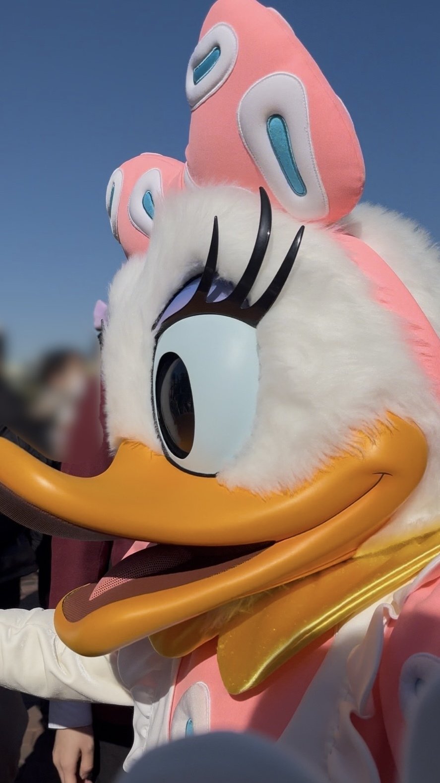 無駄なく遊び倒した！初めての1人ディズニーランド｜分速砂糖まみれ