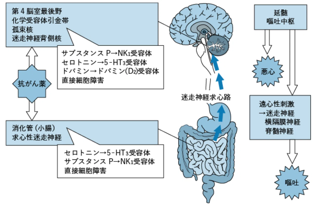 松廼屋｜論点解説 薬剤師国家試験対策ノート問 108-196-197【物理