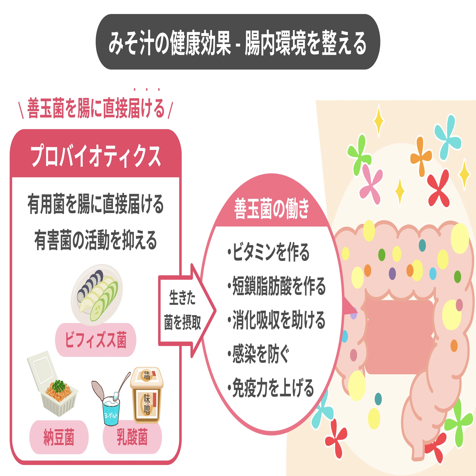 健康食品　組み合わせ 54072-88-