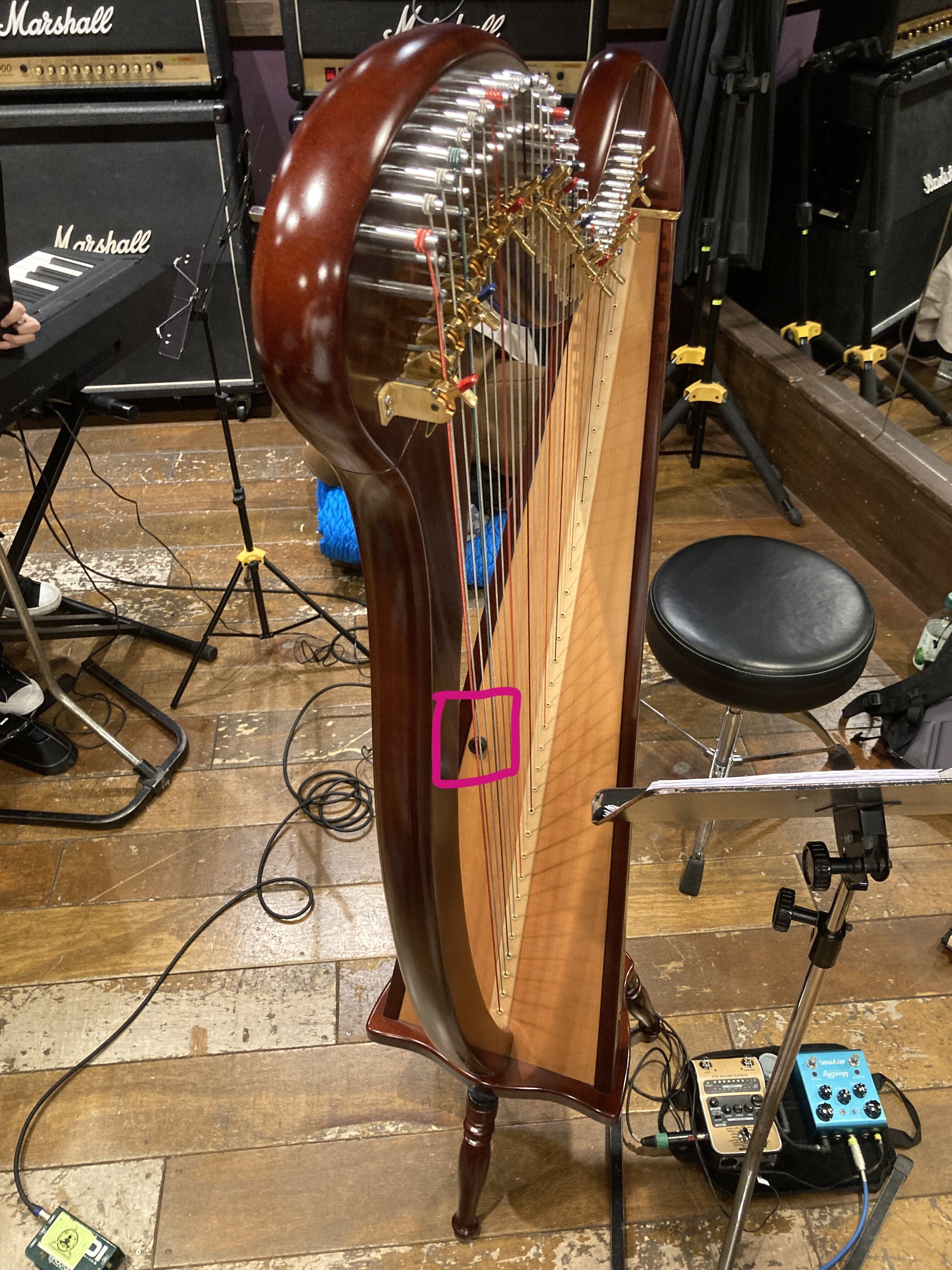 Lyon & Healy Harps OGDEN レバーハープ（ハープの違い | ハープ