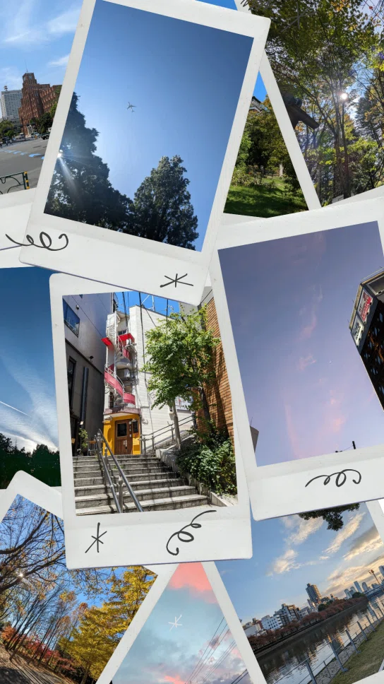 散歩のときに撮影した写真のスクラップ