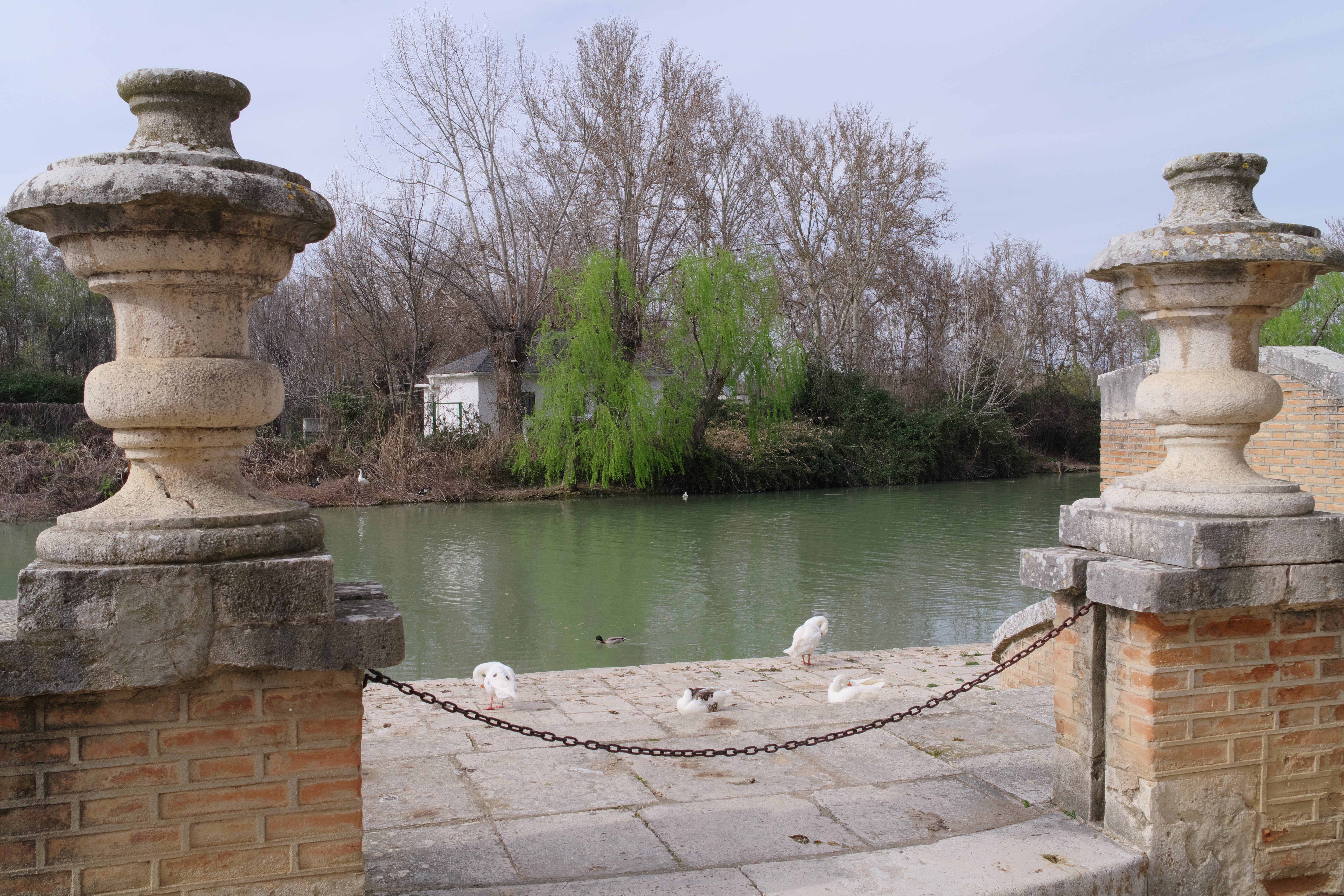 スペイン旅行2024 9日目 アランフェス｜NASUBOUYA