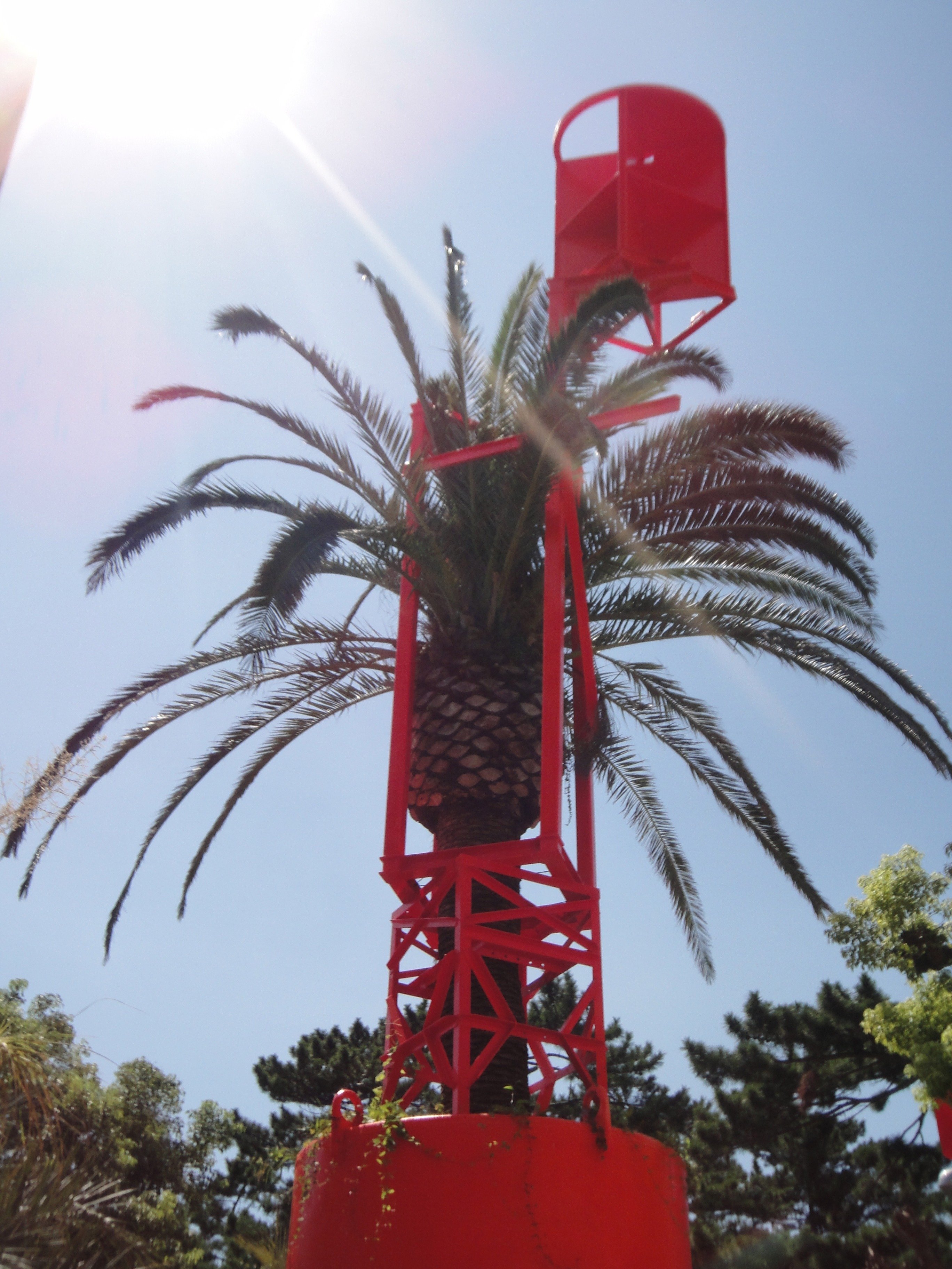 ♨️湯船でzineを読む「雰囲気ヤシの木」｜新村葉月 Shimmura Hazuki