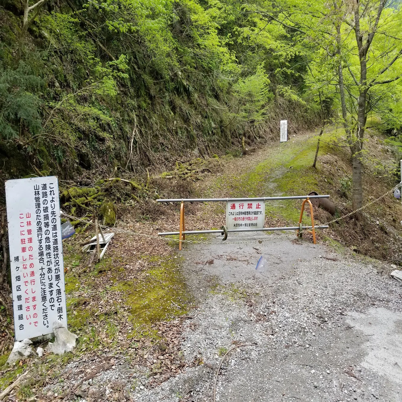 山の心得】～倒木の影響編～｜ミズ