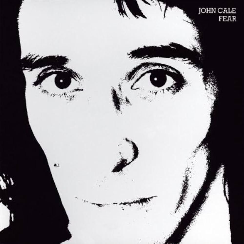見本盤ＬＰジョン・ケイルJOHN CALE）Velvet Underground John Cale（ジョン・ケイル）｜『POPtical Illusion』ヴェルヴェット
