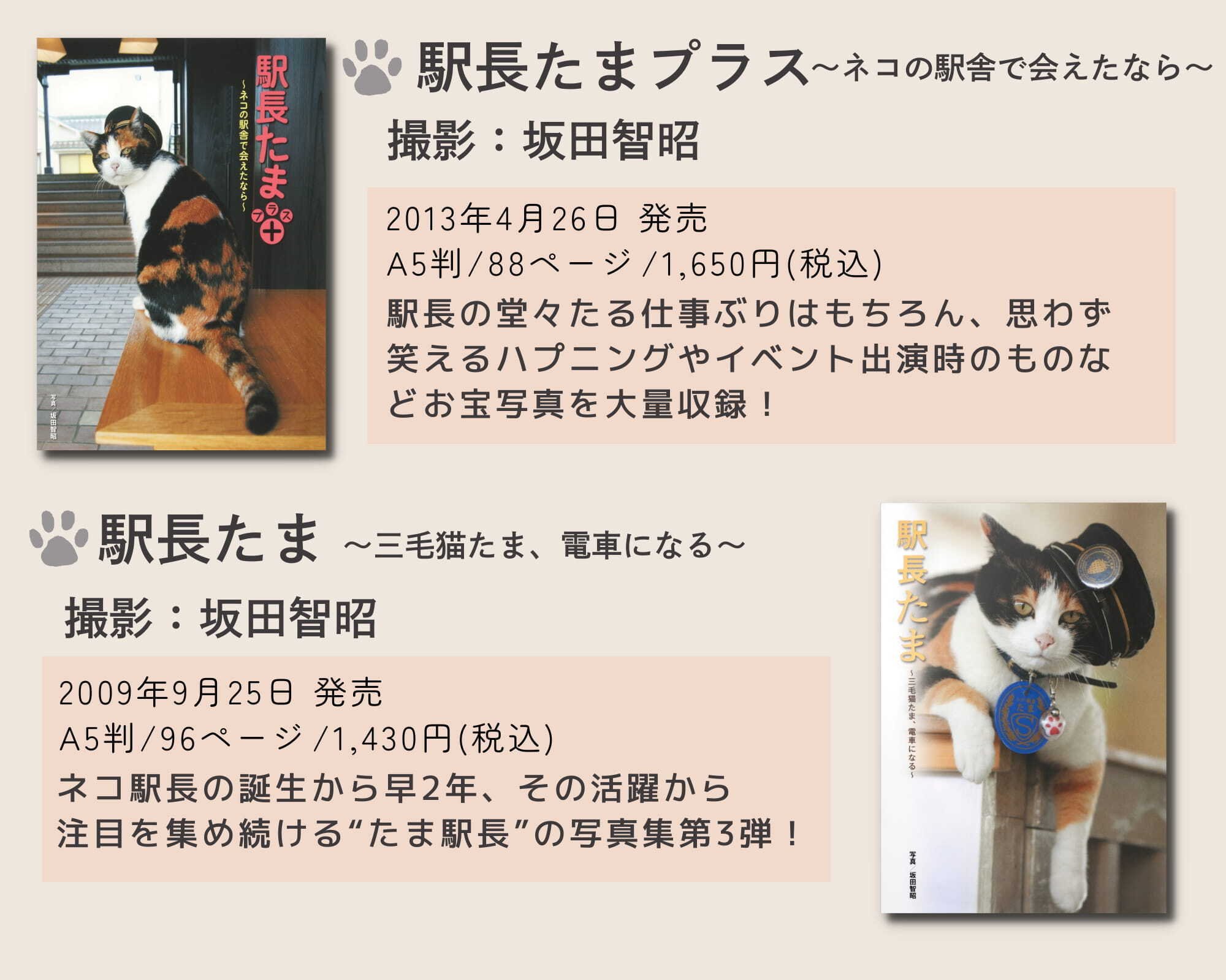 2月22日は猫の日！「ホーム社猫祭2025年」猫とわたしたちの物語｜HB