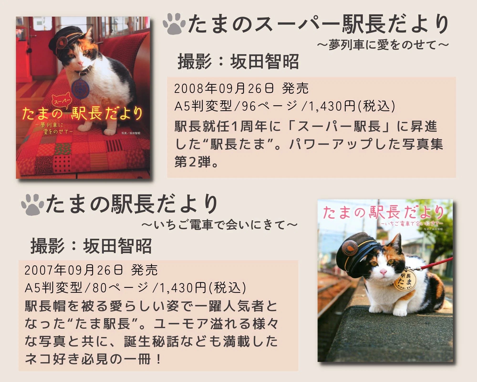 2月22日は猫の日！「ホーム社猫祭2025年」猫とわたしたちの物語｜HB