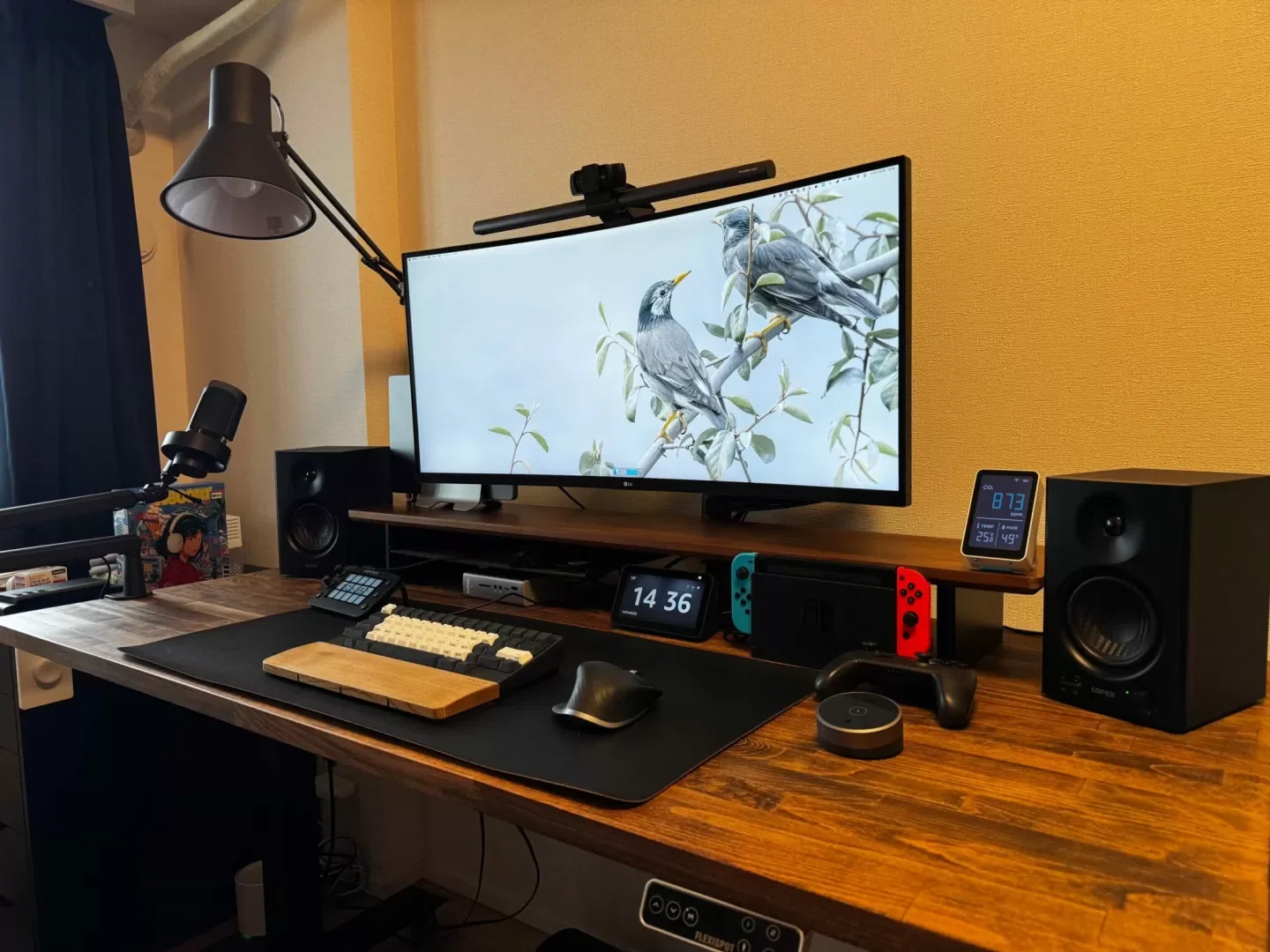 WARLD GADGETS デスクシェルフ ダークウォルナット ワールドガジェッツ デスクシェルフ 無垢材+鉄製プレート