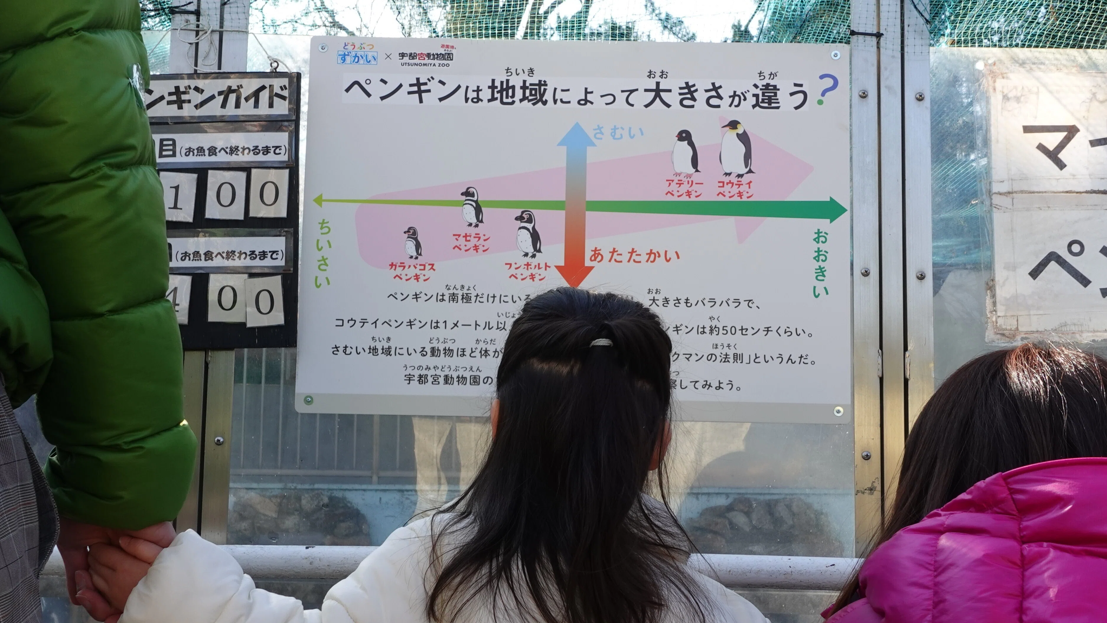 動物園の学びが「見える化」される―新しい動物園の魅力「どうぶつず
