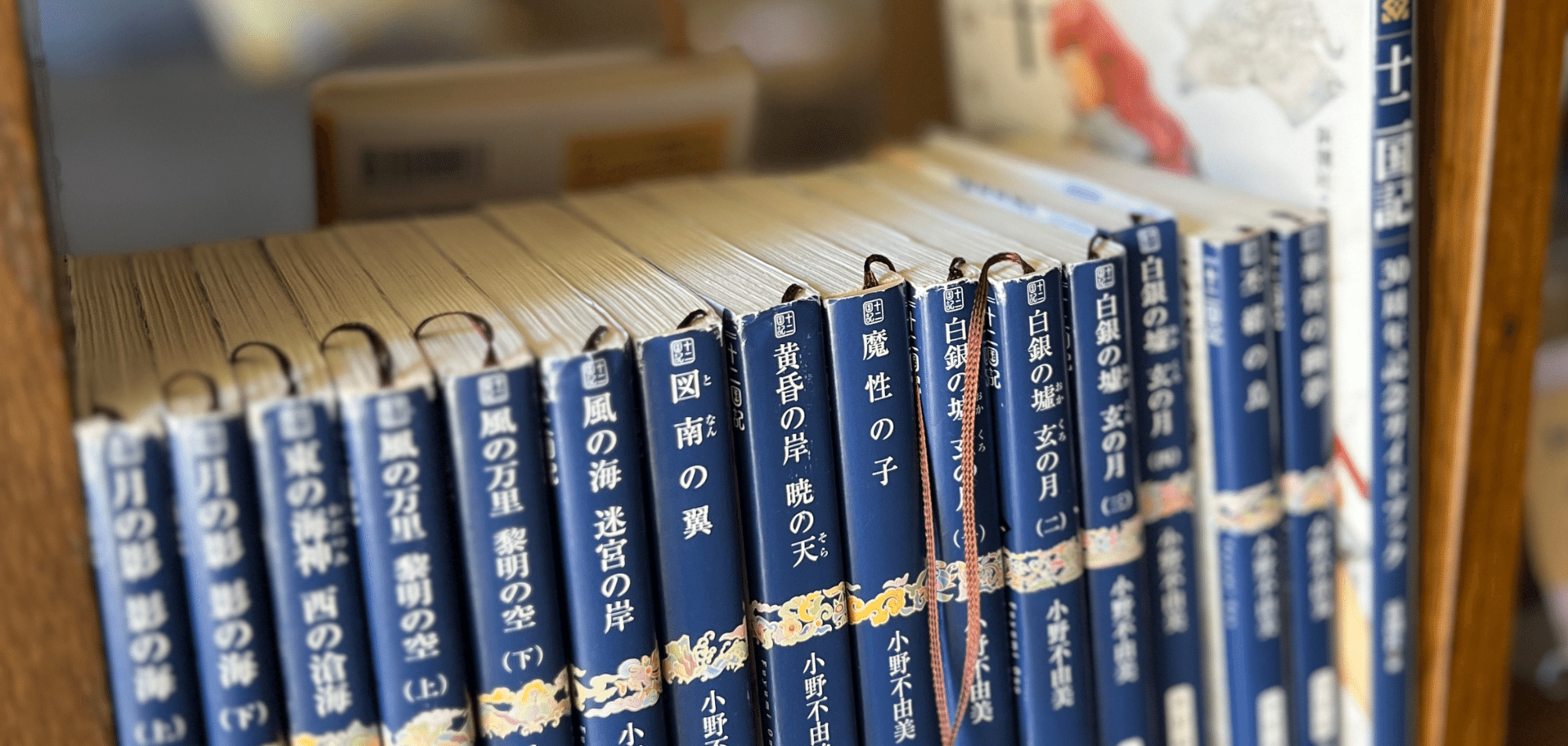 読書雑記 読書 Vlog】登録者1000人を記念して1000ページ以上の文庫本を