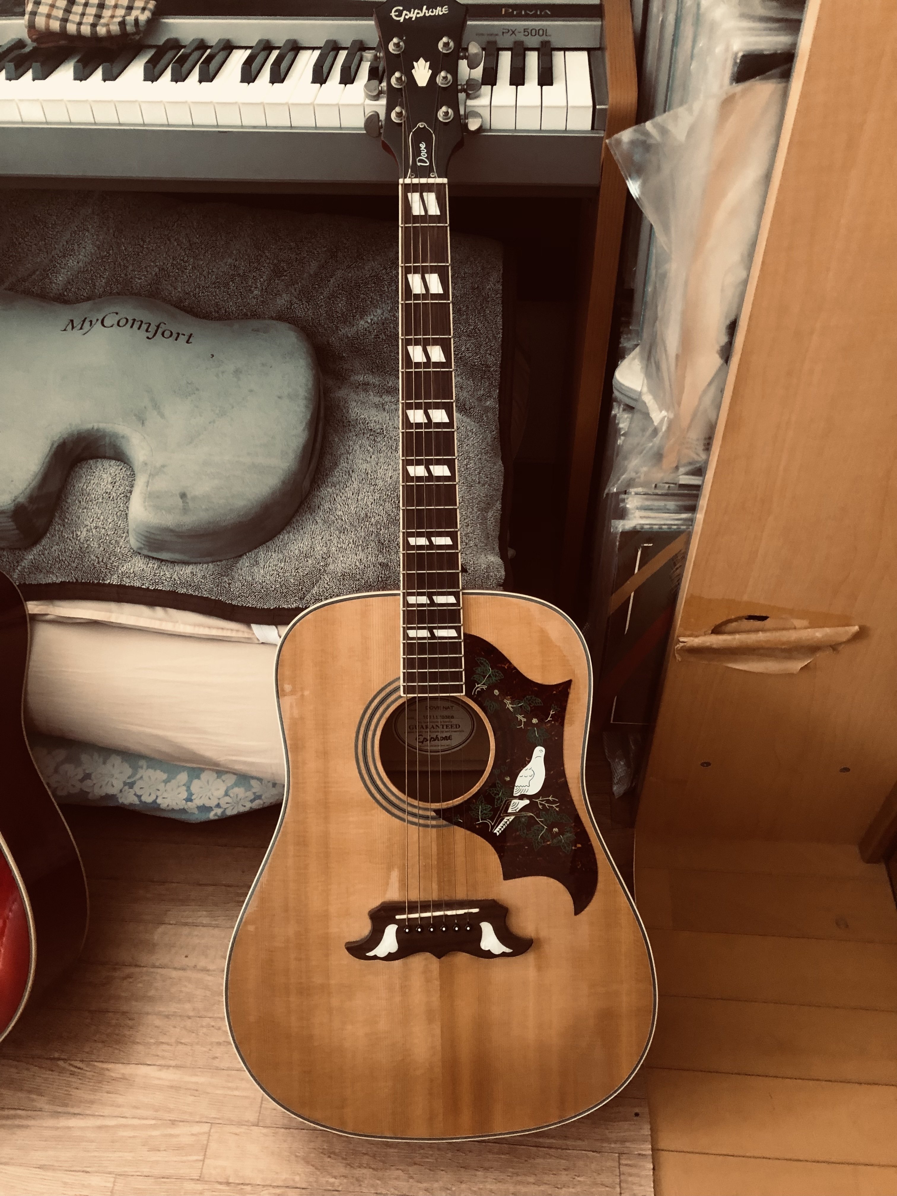 派手なアコギ ハミングバード ダブ｜（花鳥風月）ikesan