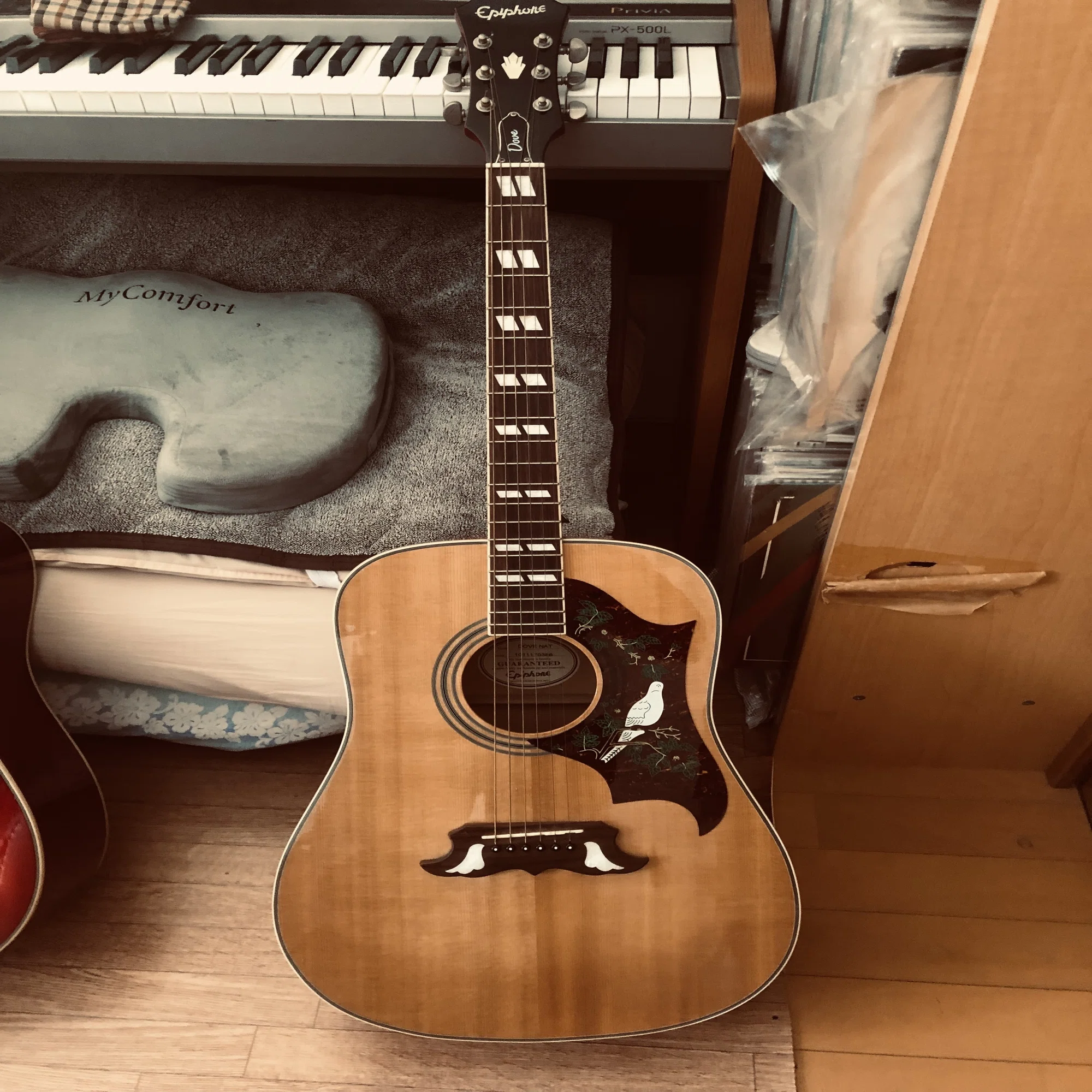 派手なアコギ ハミングバード ダブ｜（花鳥風月）ikesan