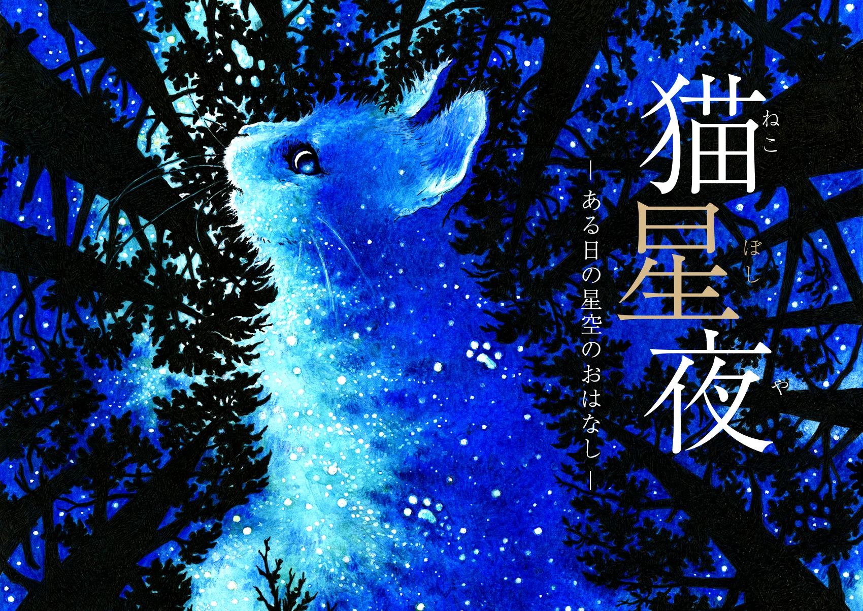 コニカミノルタ 猫星夜 -ある日の星空のおはなし- にいってきた｜じょーじ
