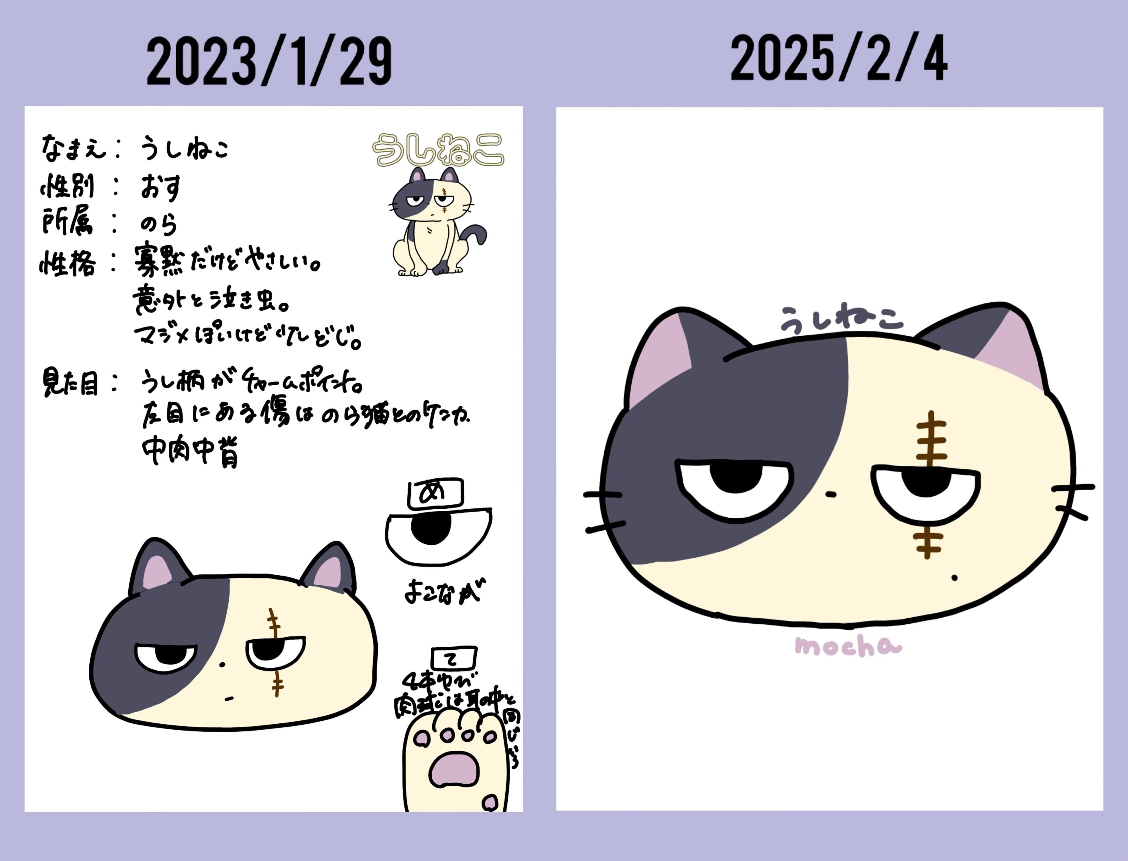 うしねこの生態を知る -うしねこ紹介編-｜mocha編集長の執筆室