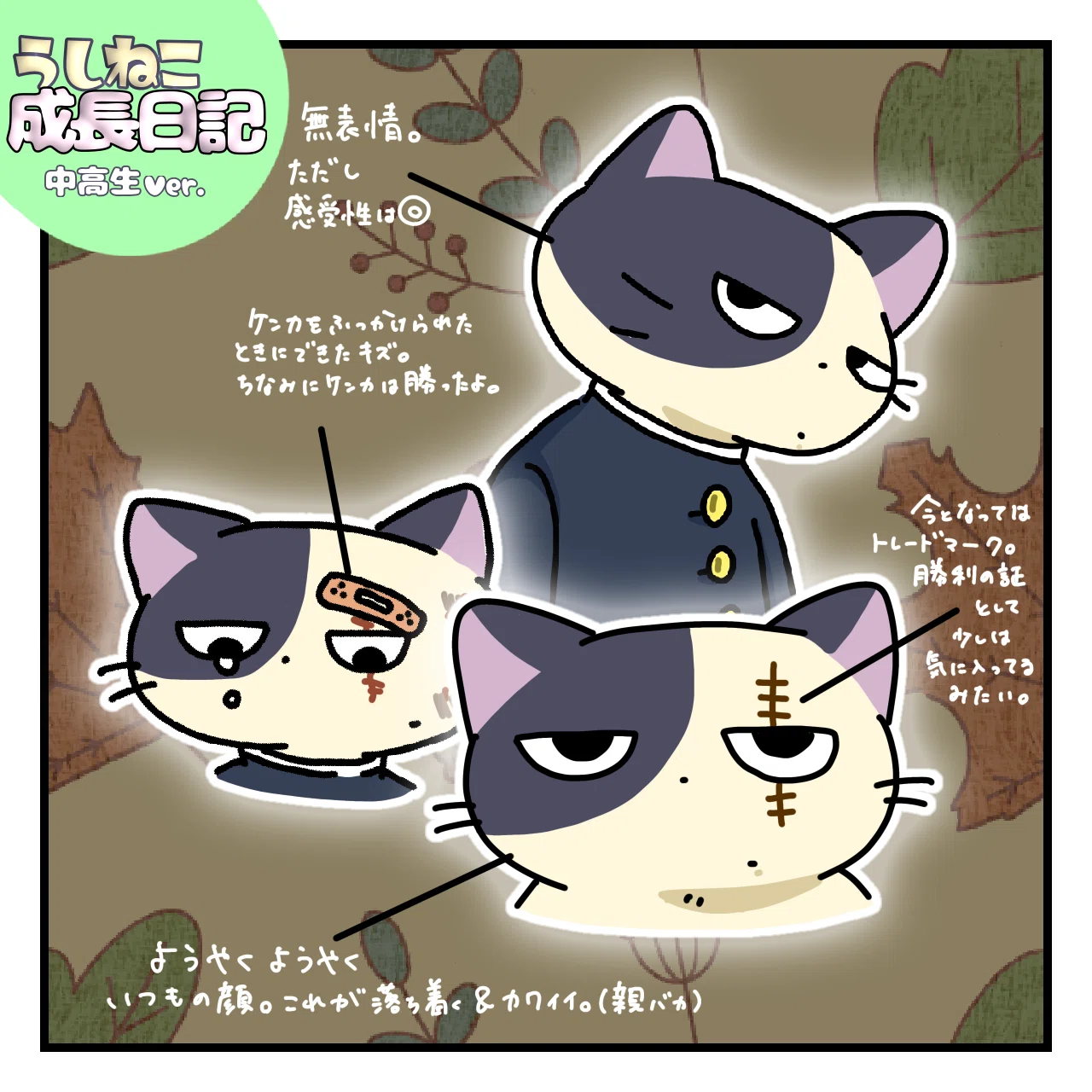 うしねこの生態を知る -うしねこ紹介編-｜mocha編集長の執筆室