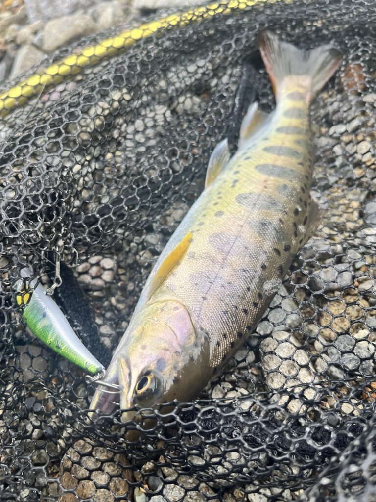 渓流ミノーでアマゴのバラシを減らすにはラインスラックを味方につける