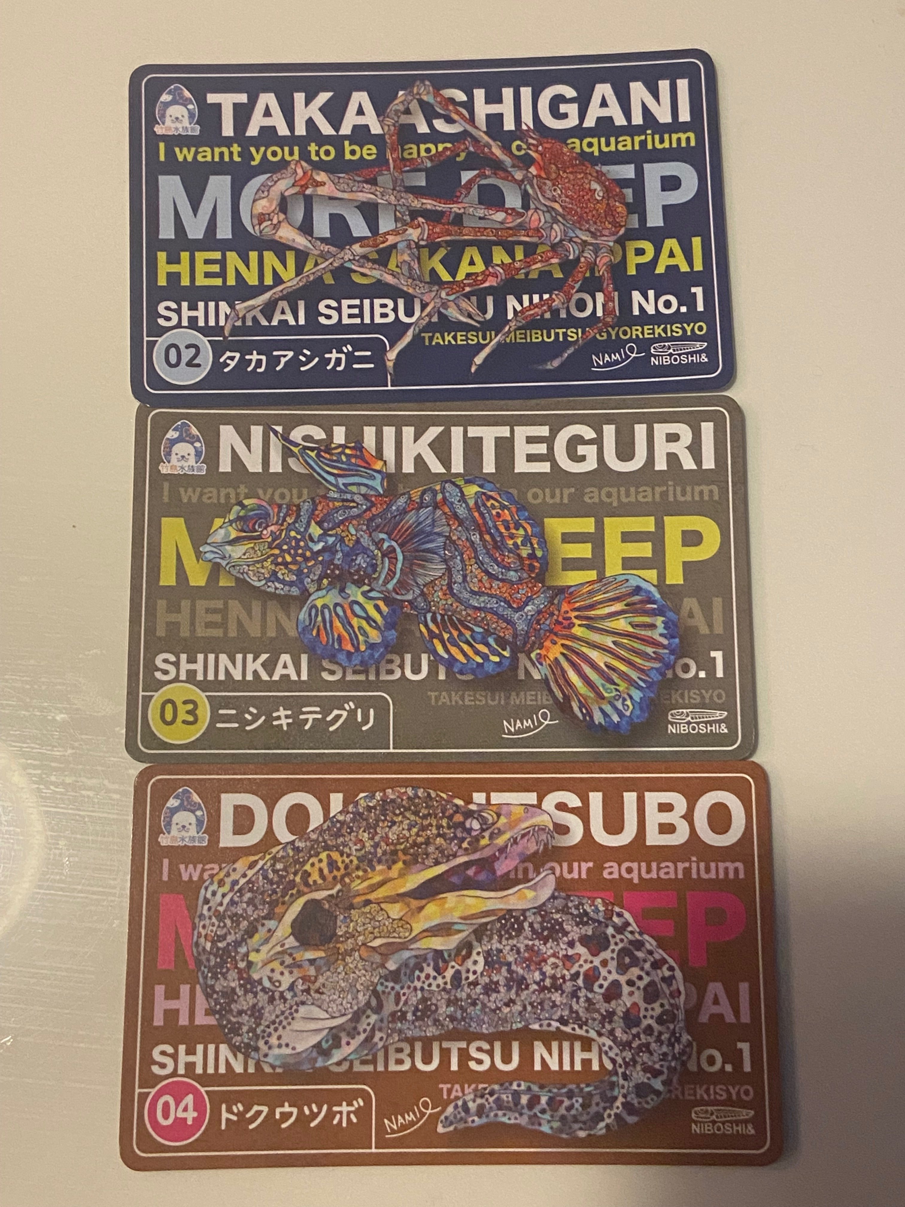 リニューアルした「竹島水族館」で深海生物と触れ合ってきた話｜おいも