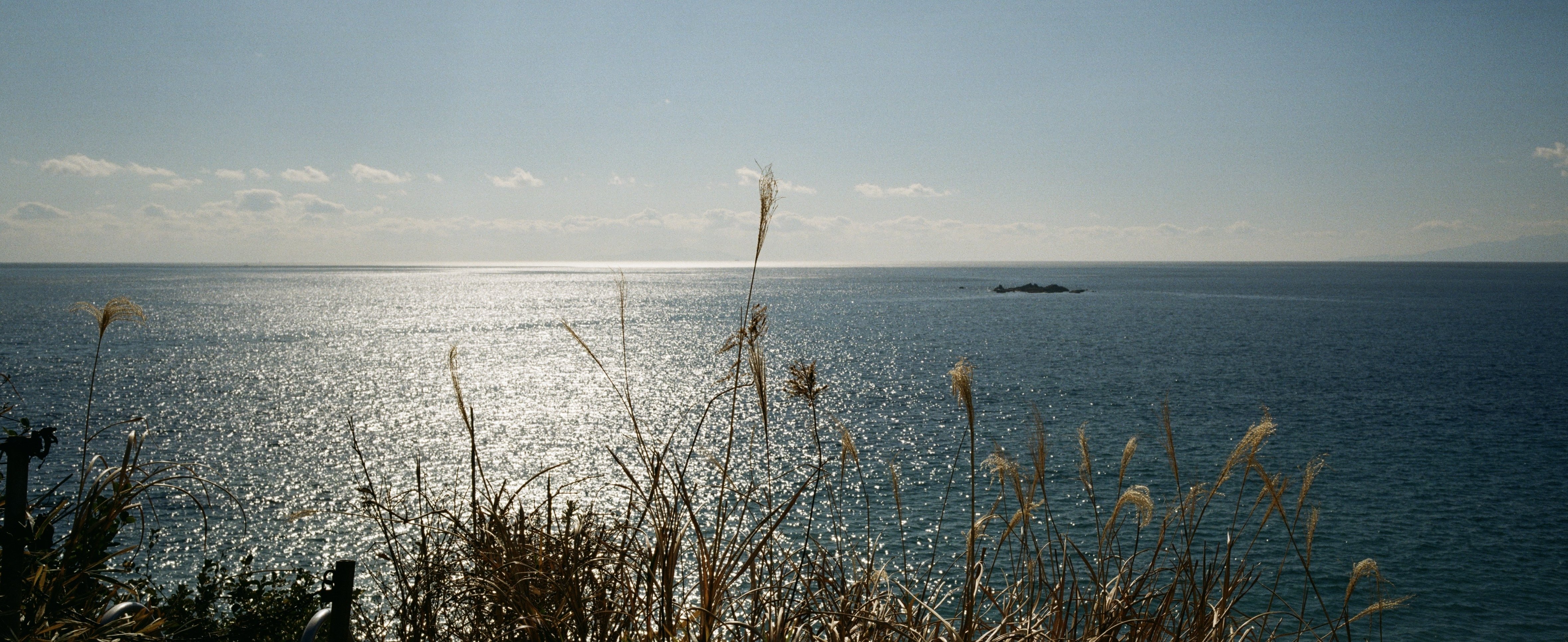 フィルムカメラを楽しんだ春節休暇 Hasselblad XPAN #2-6｜beach_wave888