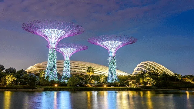 シンガポール ガーデンズ・バイ・ザ・ベイの夜景