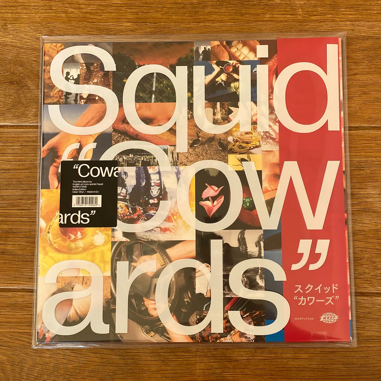 怒涛の新譜ラッシュ2025年2月編その1｜仲真史 NAKA BIG LOVE