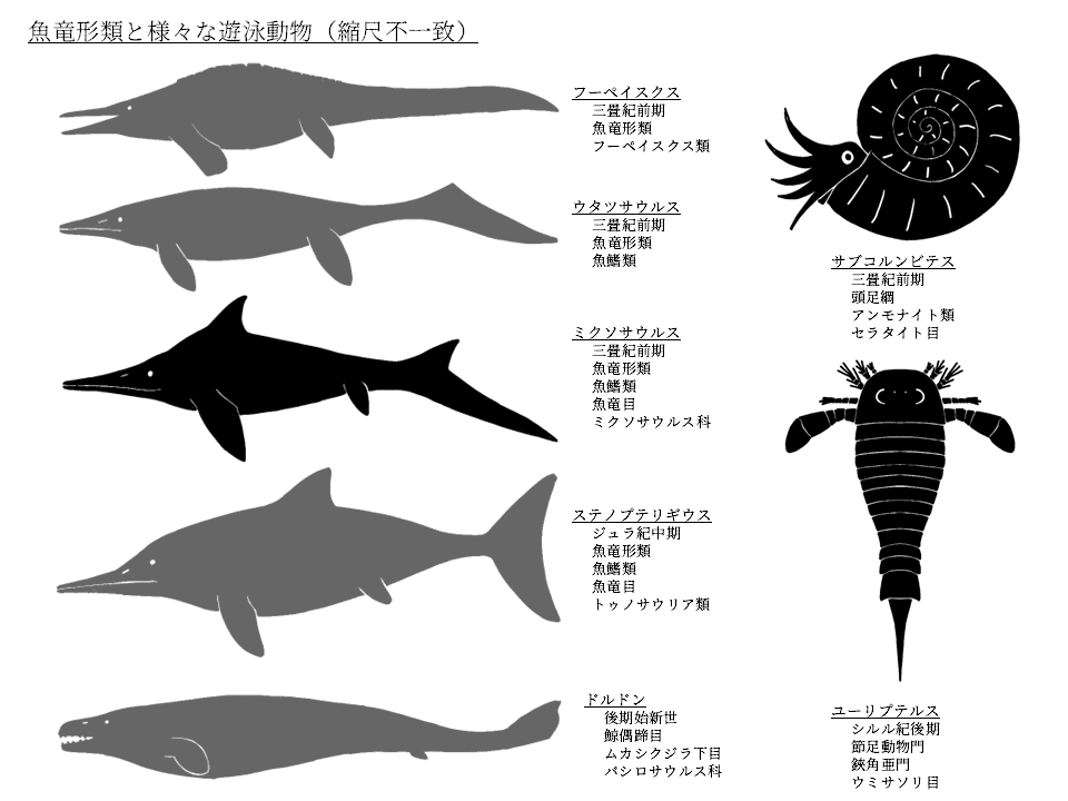 もしも?」の図鑑 古生物の飼い方 - 土屋 健 | 9784408455754
