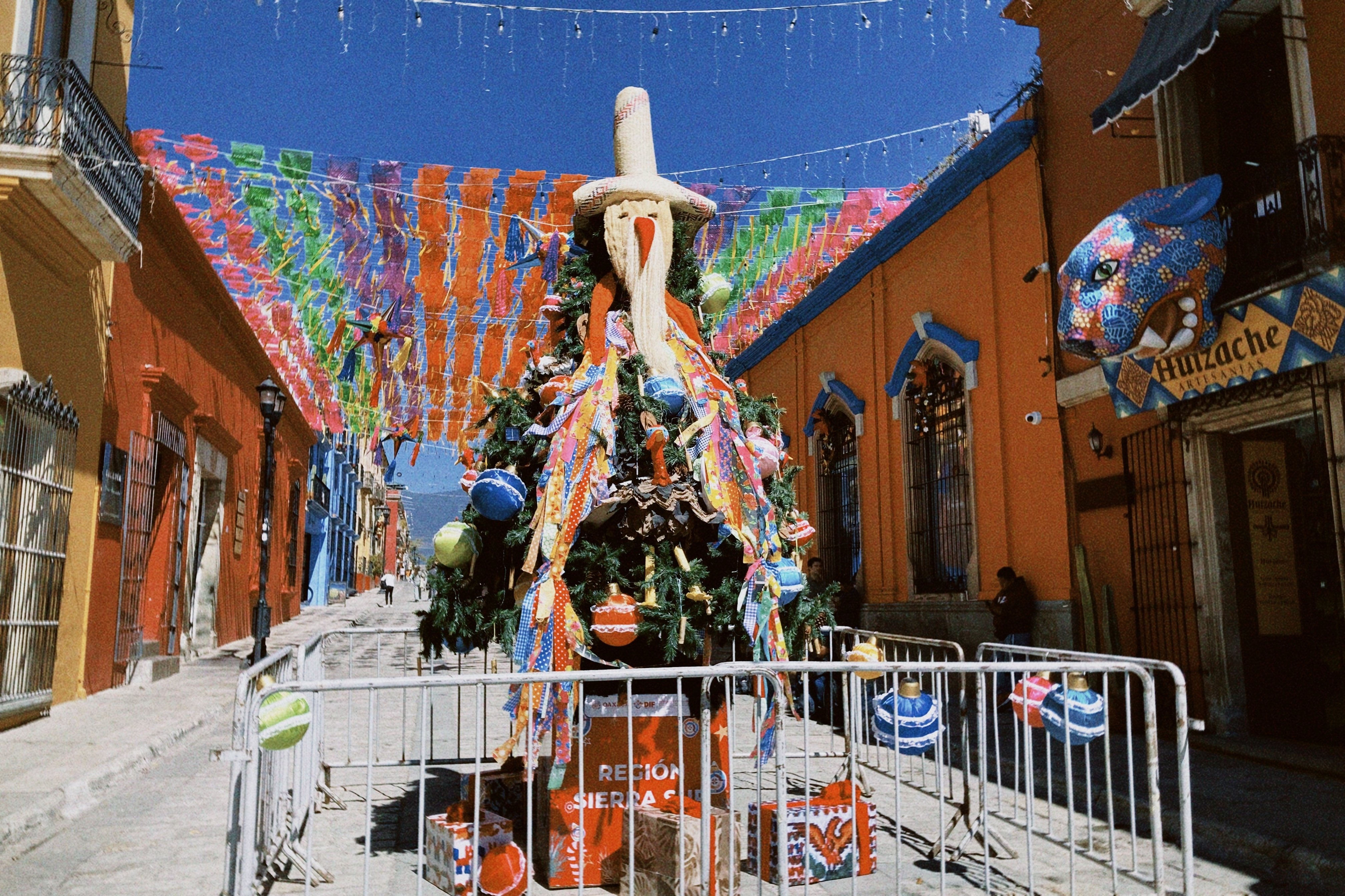 メキシコ滞在6ヶ月、私が思うオアハカの魅力。｜maryo｜世界旅
