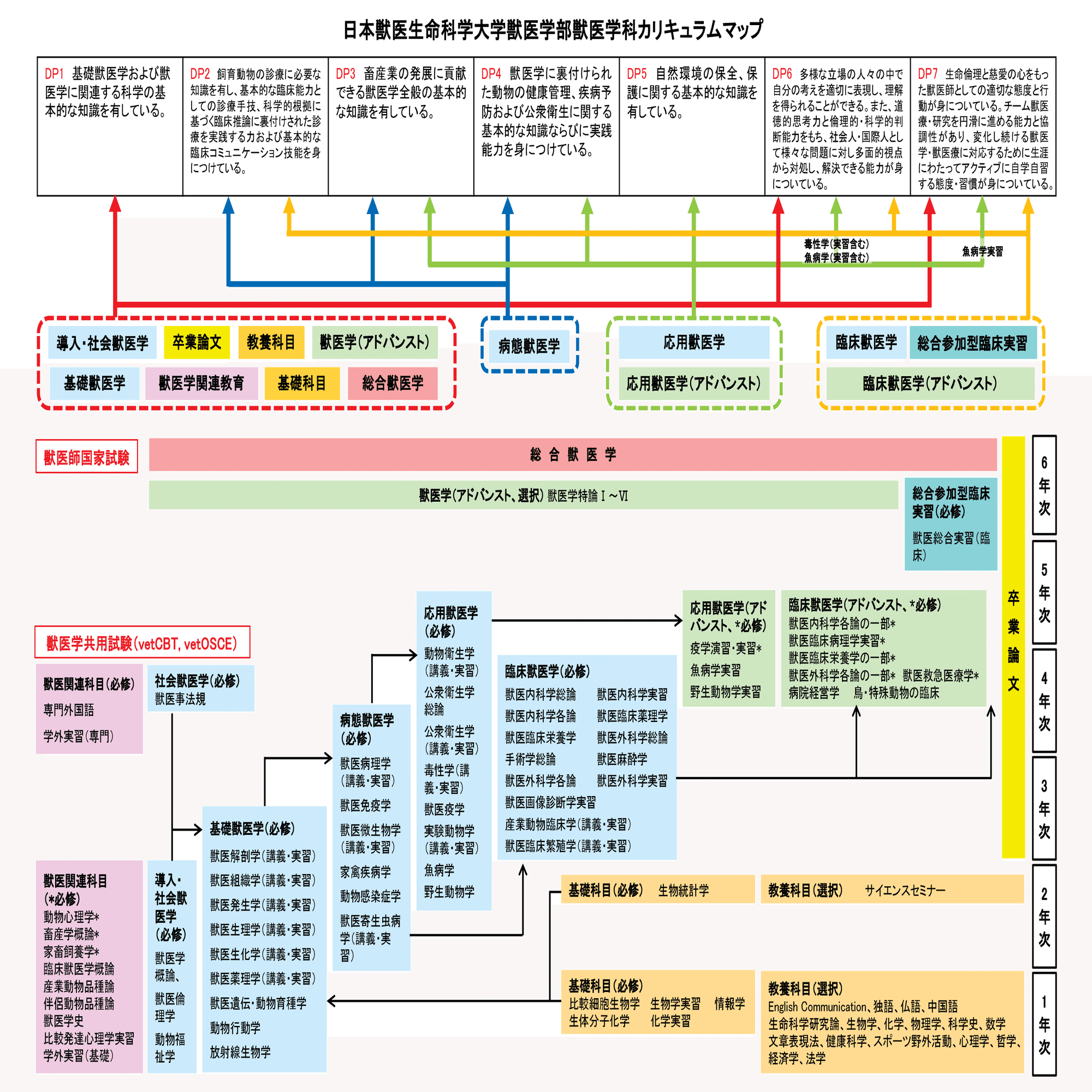 獣医師の世界へようこそ！～知られざる仕事内容に迫る～【お仕事紹介