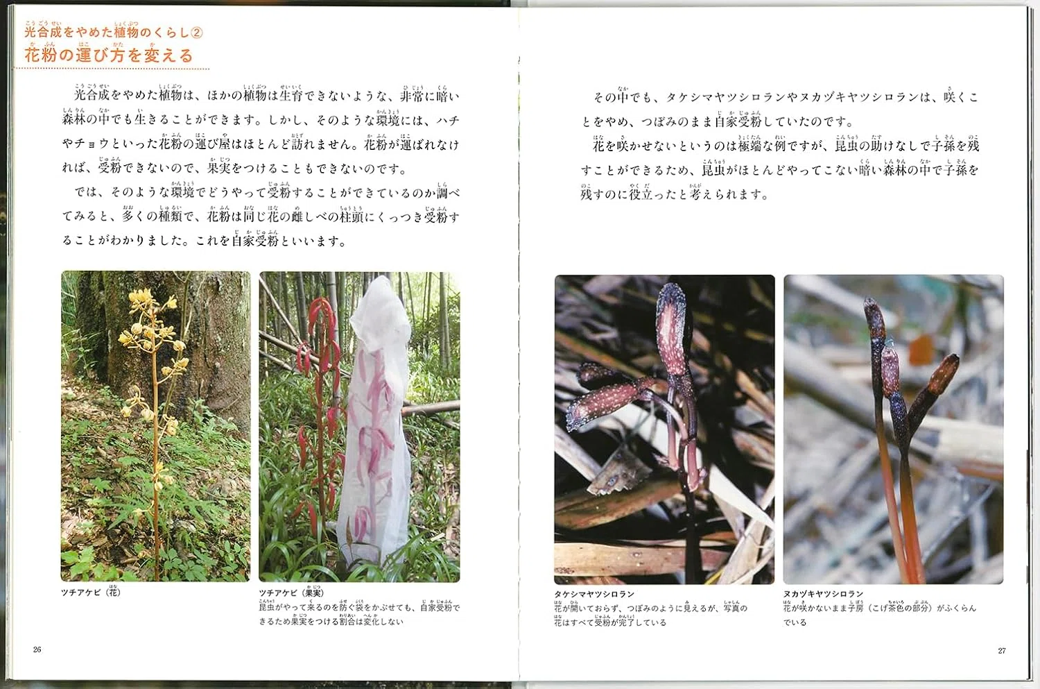 みぢかな「なぜ？」からはじまる「たくさんのふしぎ」（8冊）｜福音館 