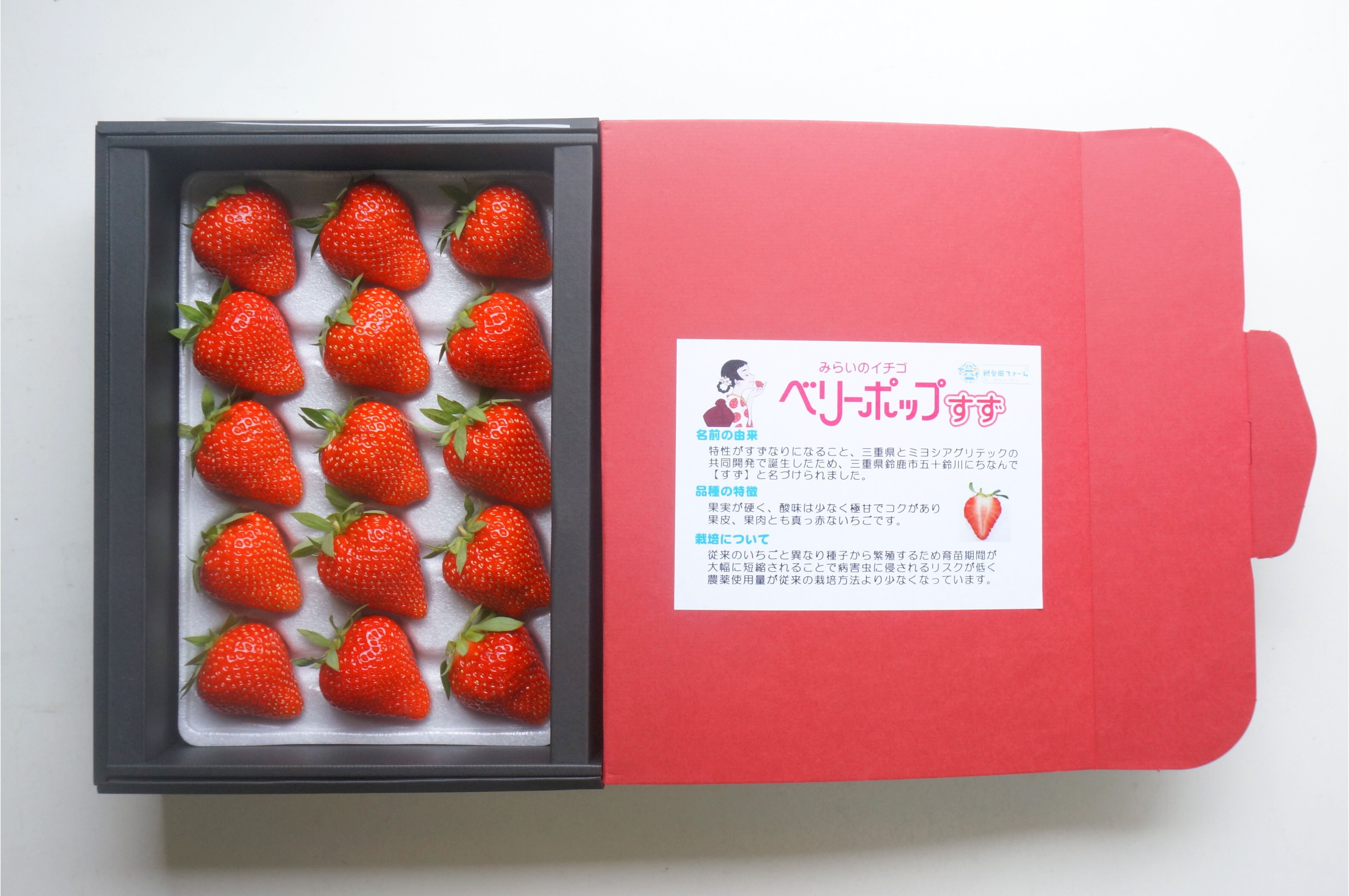 16苺日記】ベリーポップすず、全国デビューしました(してました