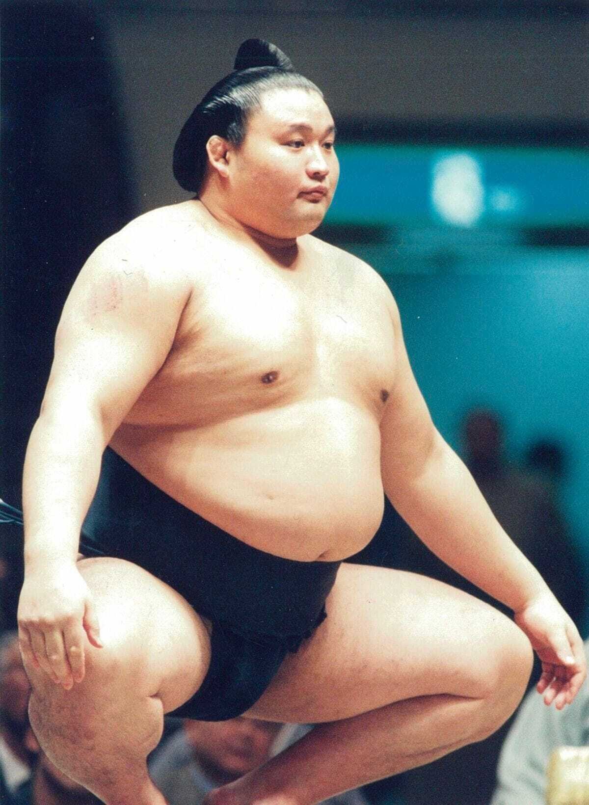 平成の大横綱(貴乃花)の魅力｜こうさく