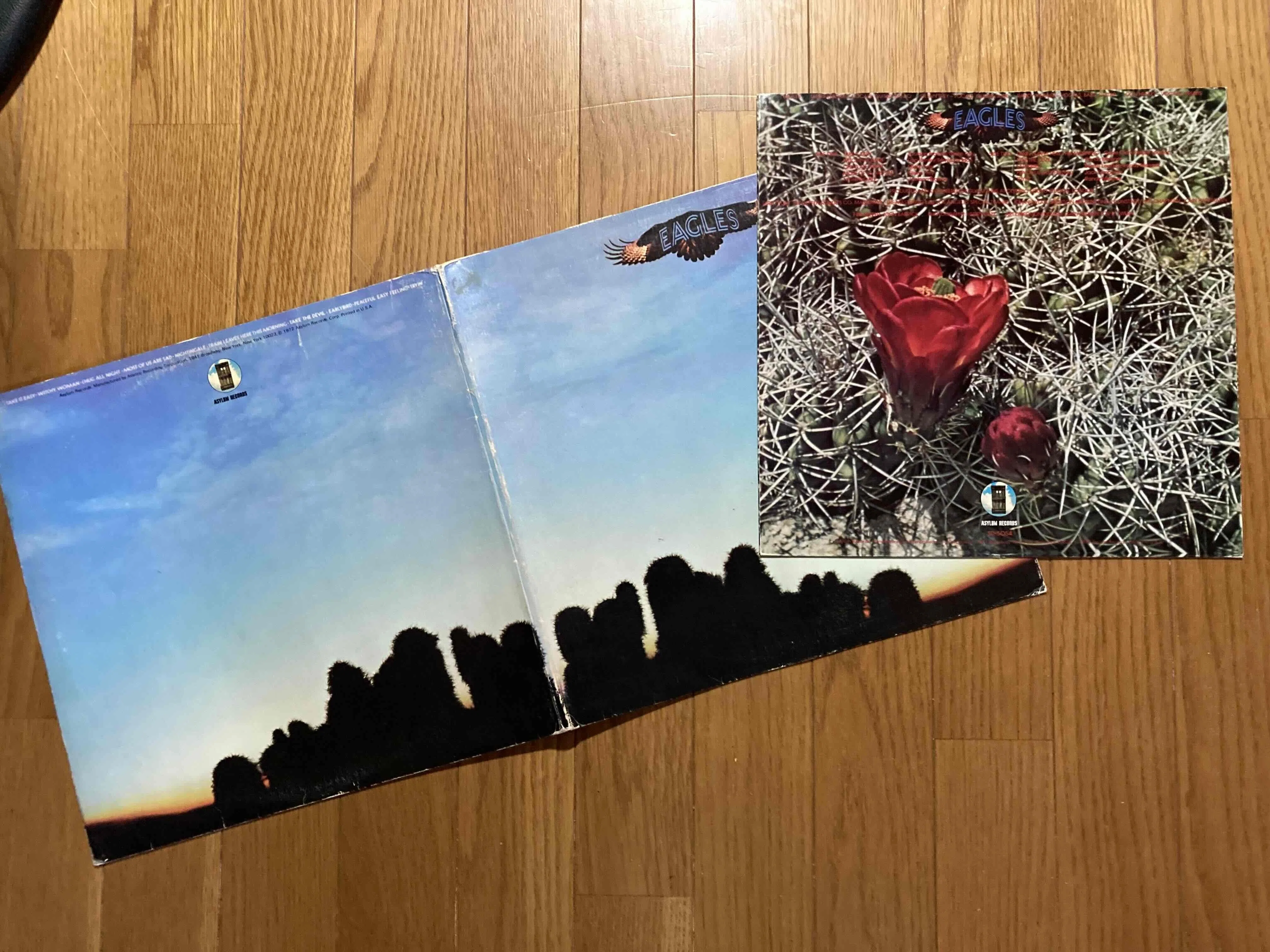 Eagles [ Same ] Asylum SD-5054｜naruru\u0027s Record eagles様専用☆(4)