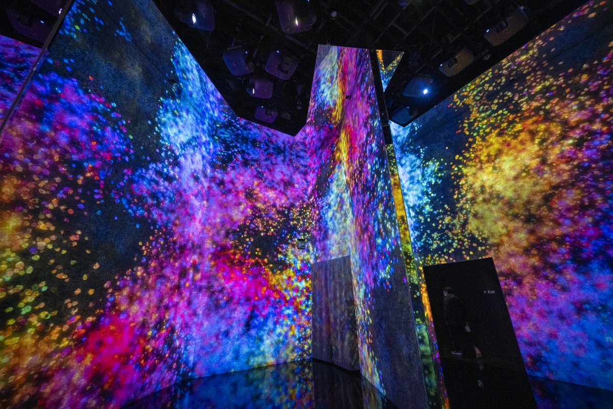 「チームラボボーダレス」と「チームラボプラネッツ」の違いって? リニューアル後のそれぞれの魅力を体験してきました。|ぷらいまり。