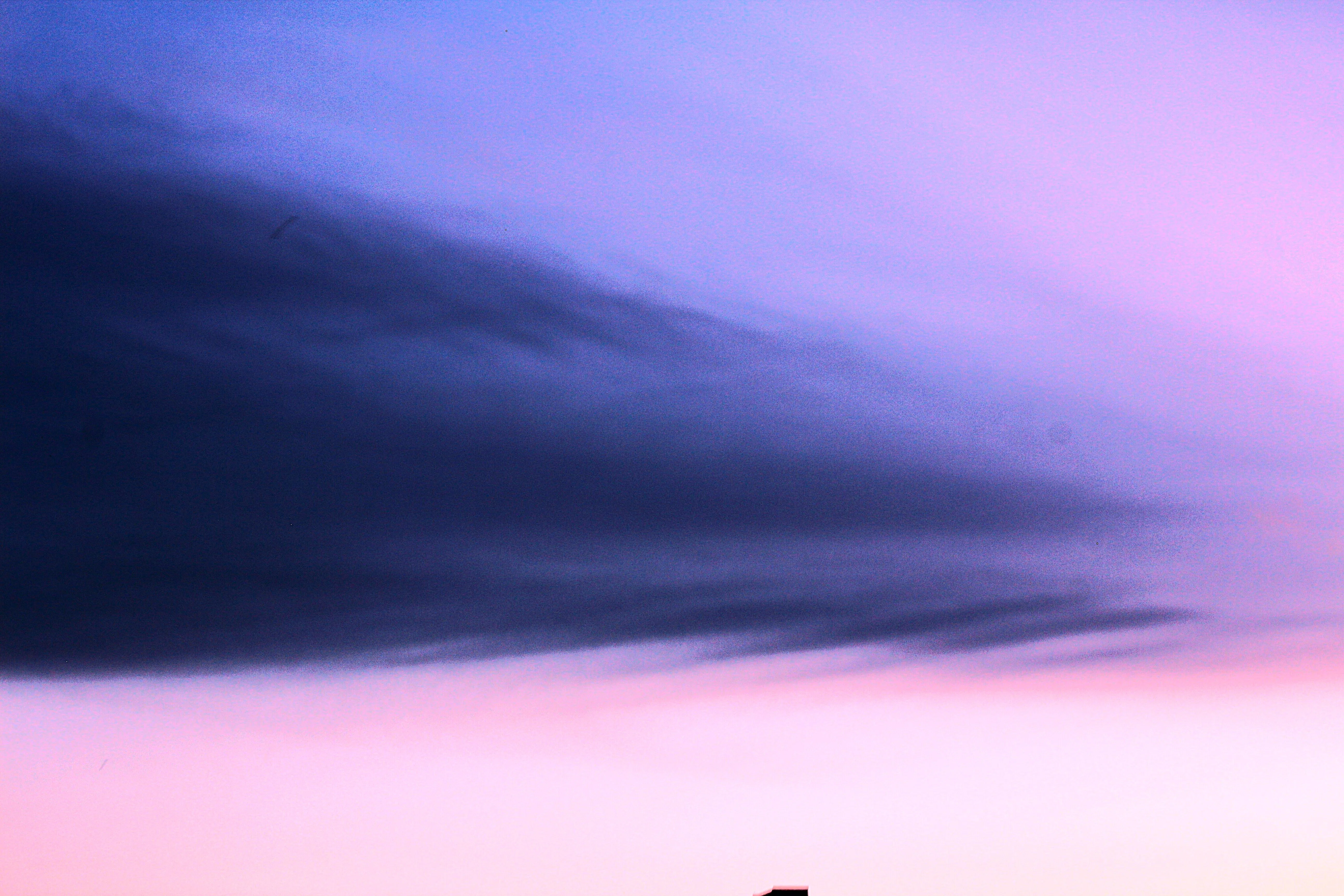 写真を絵のようにしてみた①|コウチ