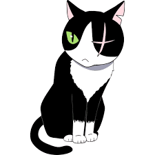 夜廻り猫　遠藤平蔵　ぬいぐるみ 心で涙する人には『夜廻り猫』が寄ってくる。泣けます！【手塚