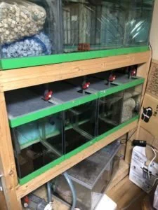 オーバーフロー水槽】マグネットポンプを変更すると電気代、騒音、温度