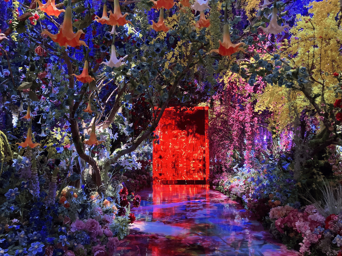 写実画 【和蘭海芋】　肉質画　サインあり 宮脇賣扇庵《天井画制作120周年特別企画》 木島櫻谷の扇 展