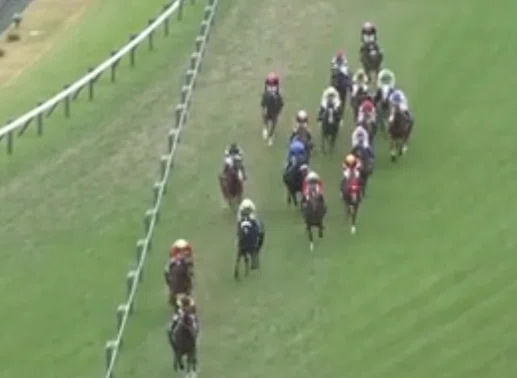 ディープインパクト 競馬レースシーン 気付い フレーム入り