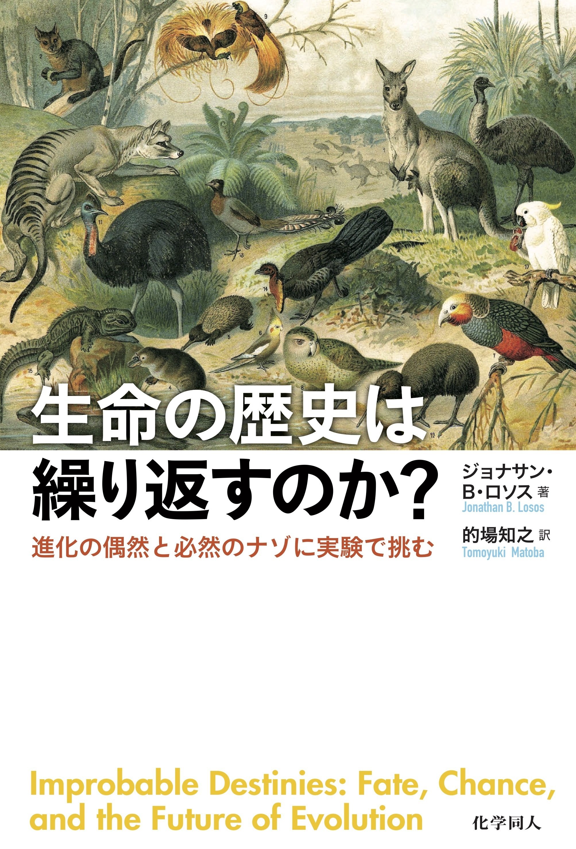 書評＞『ネコはどうしてニャアと鳴くの？ すべてのネコ好きに