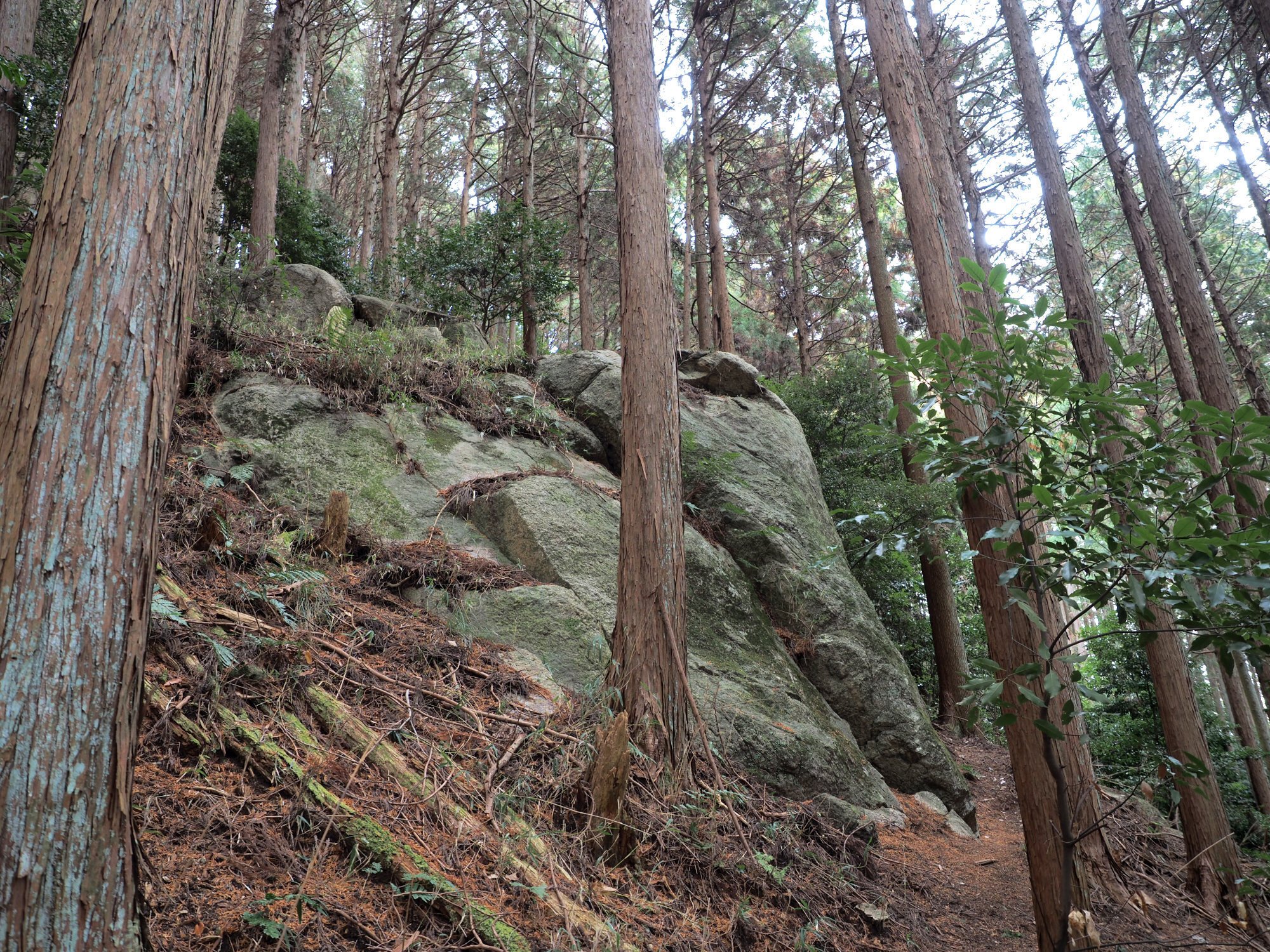 奈良に残る出雲人の足跡 ダンノダイラの磐座 – 月刊 風まかせ