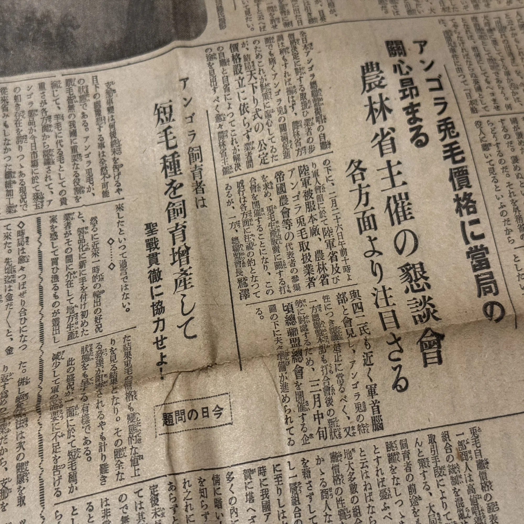 戦時下、飛行機用材料にアンゴラウサギの飼育が奨励される｜信州戦争 