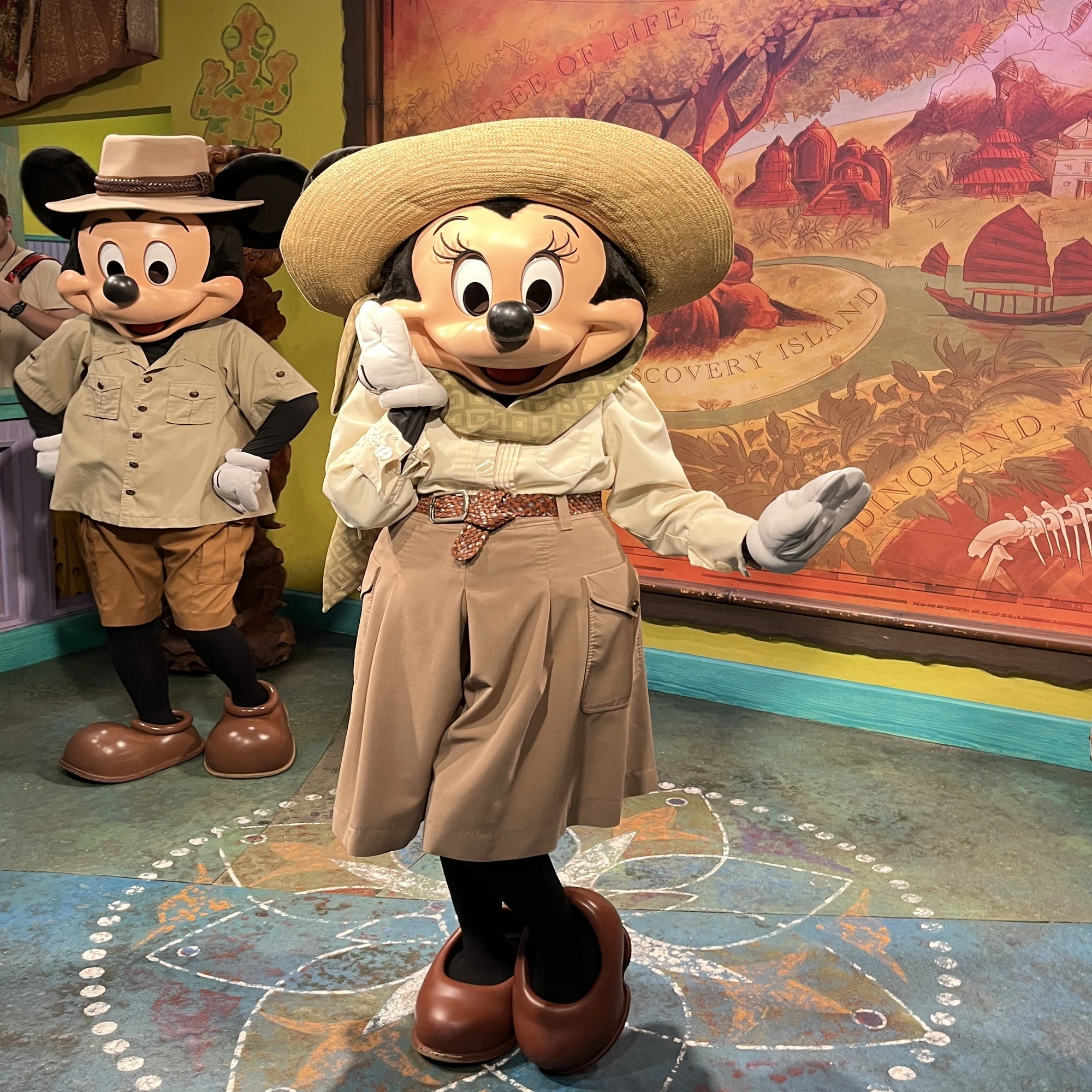 24.10WDW旅行記⑤～アニマルキングダム～ディズニーでサファリ探検 