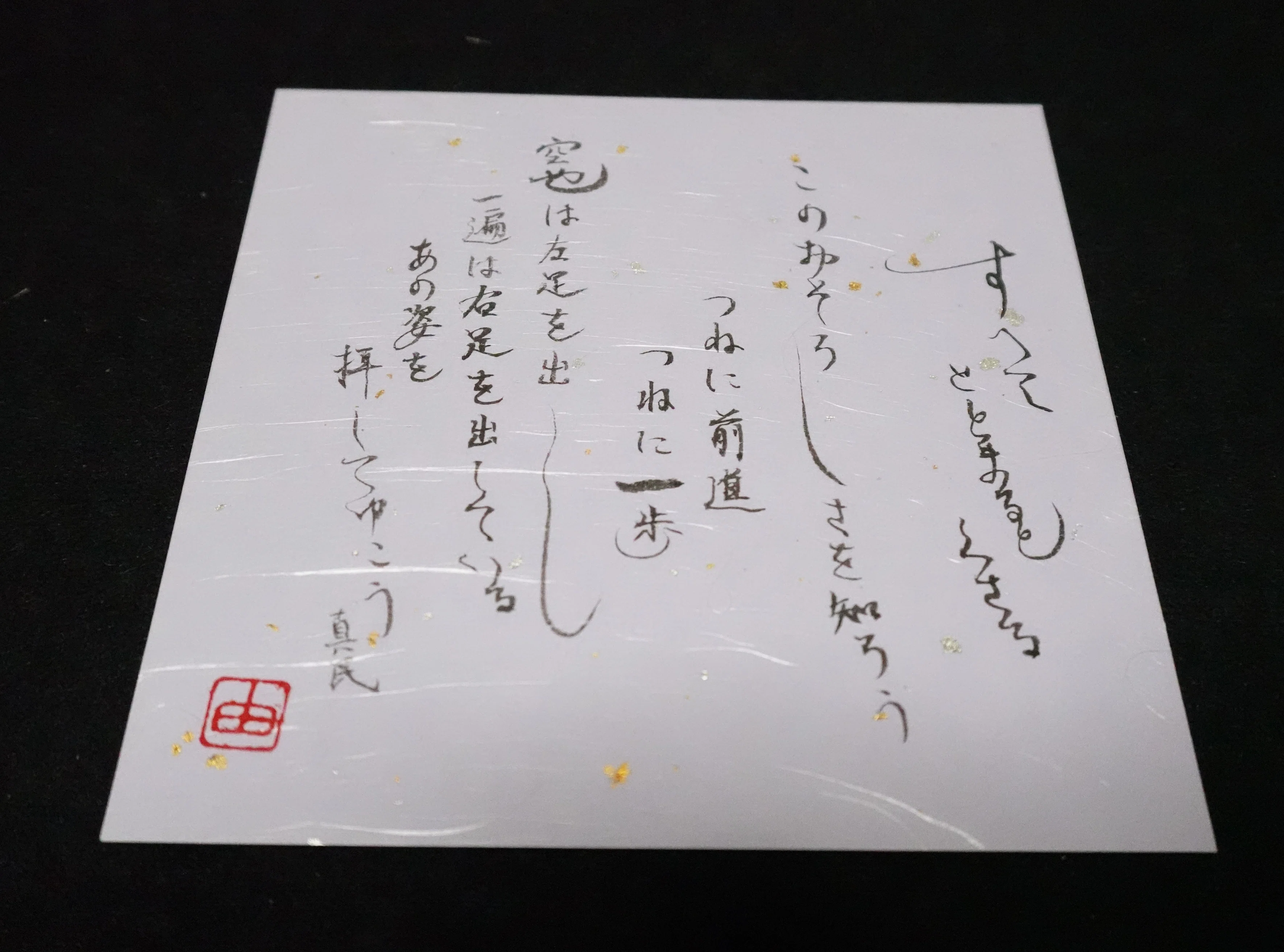 つねに前進(坂村真民さんの詩)｜なかつ(陽由)