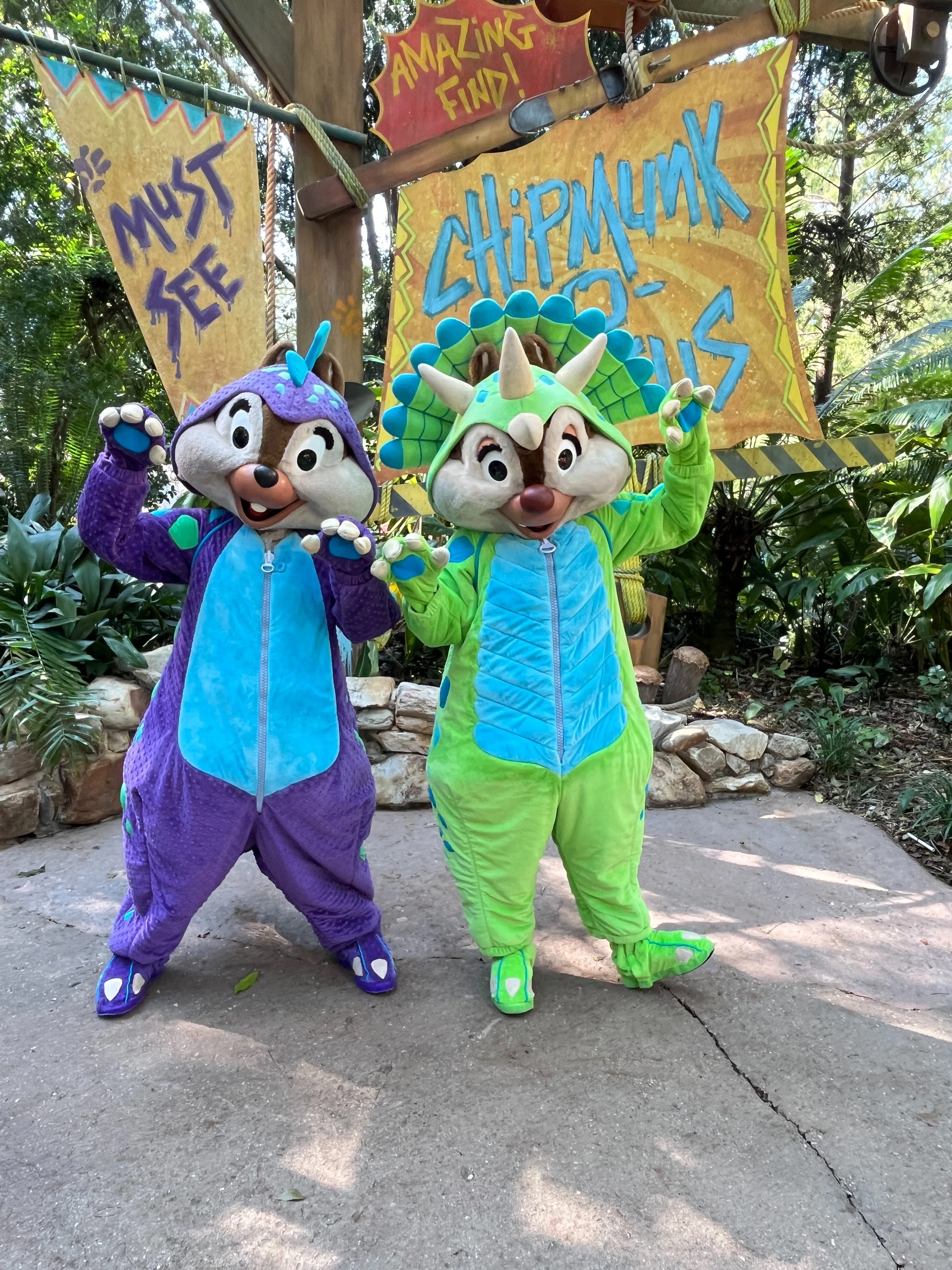 24.10WDW旅行記⑤～アニマルキングダム～ディズニーでサファリ探検