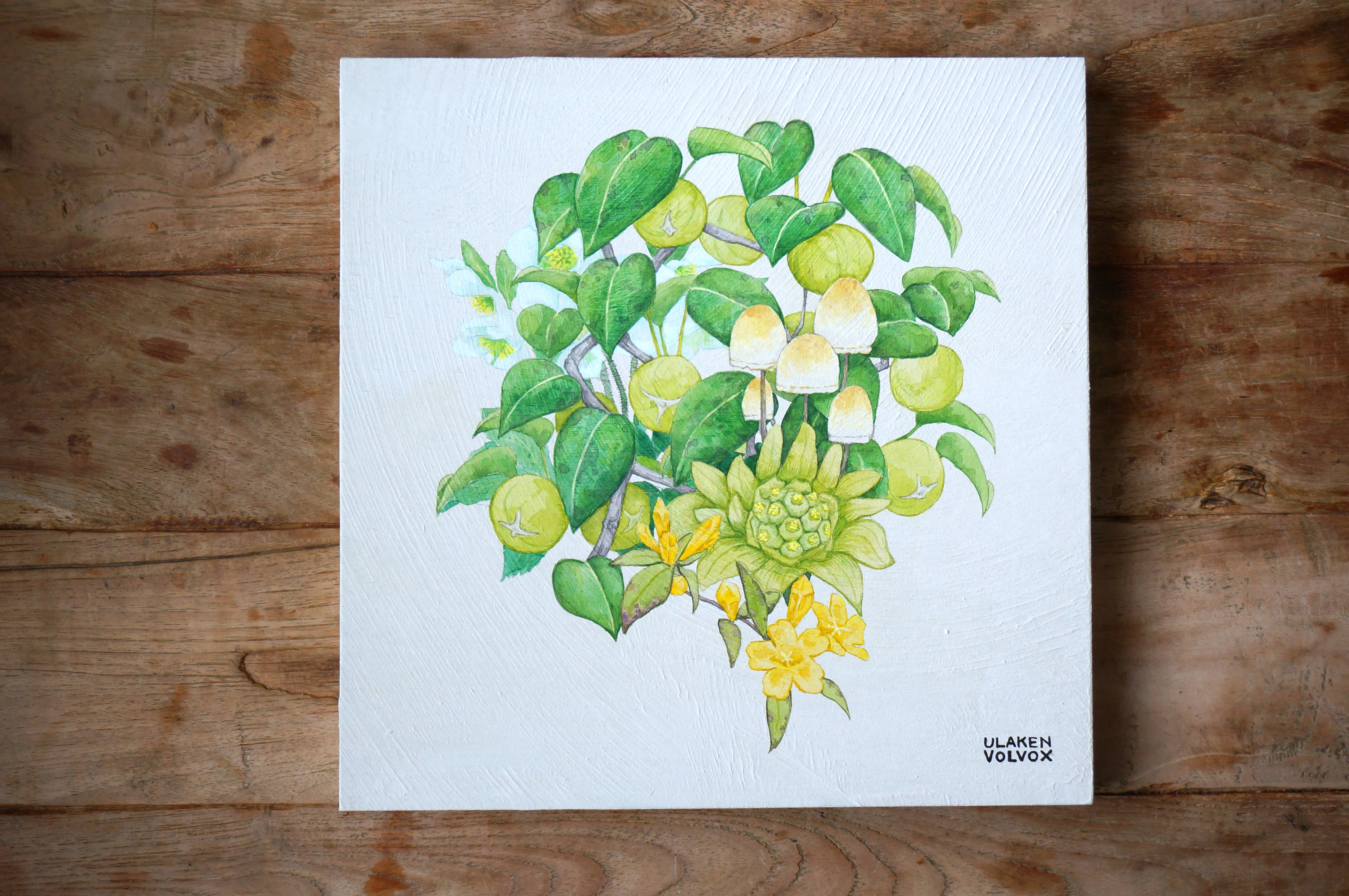 ガラス封入絵（自然植物使用） 園芸ネット本店｜（わけあり特価）ボタニカルアート：ガジュマル