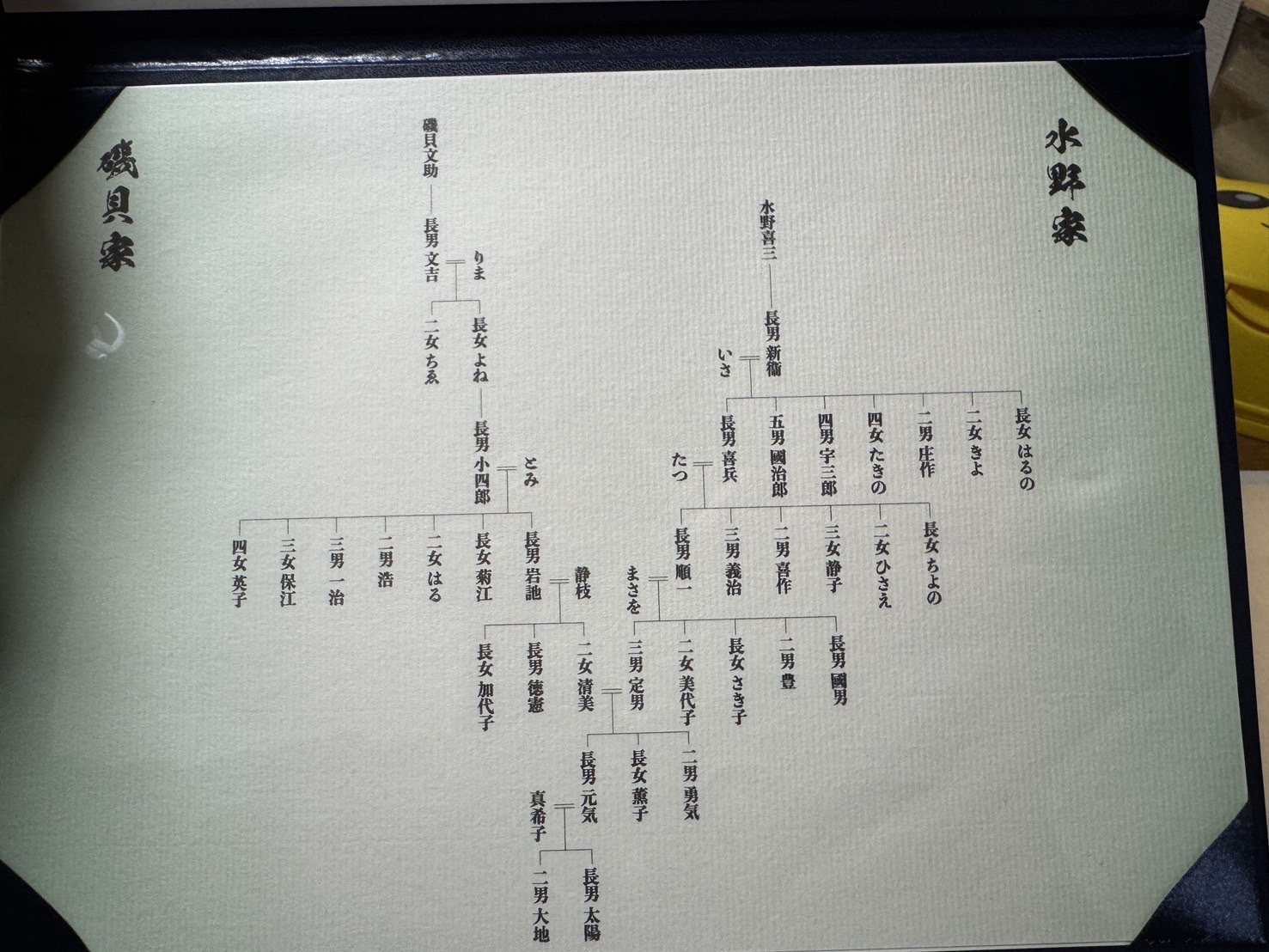 家系図を作成してみた｜水野 元気＠株式会社情熱 セルフマネジメント3.0