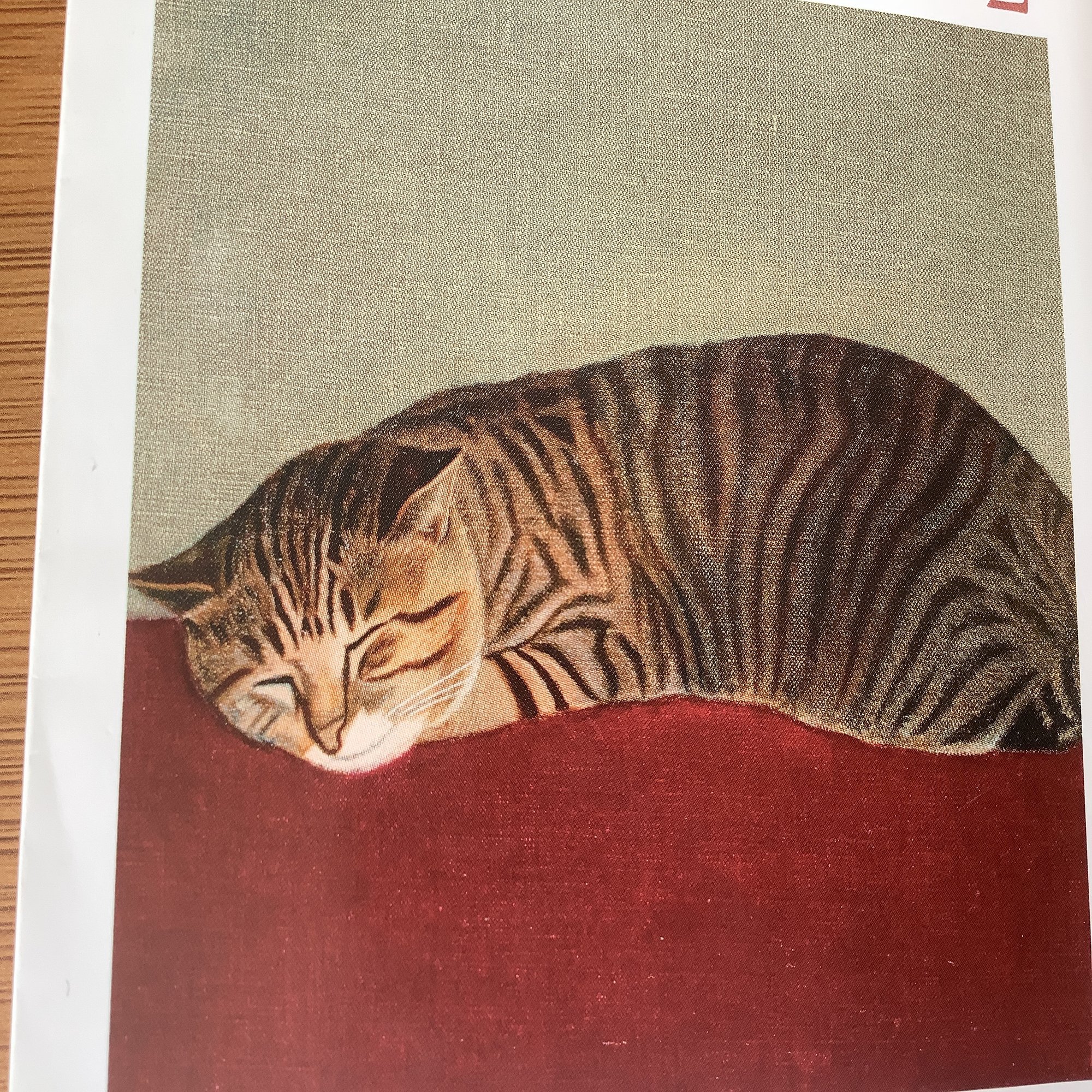 見知らぬおじさんを連れて帰って来ました｜けい, image size:2000x1500