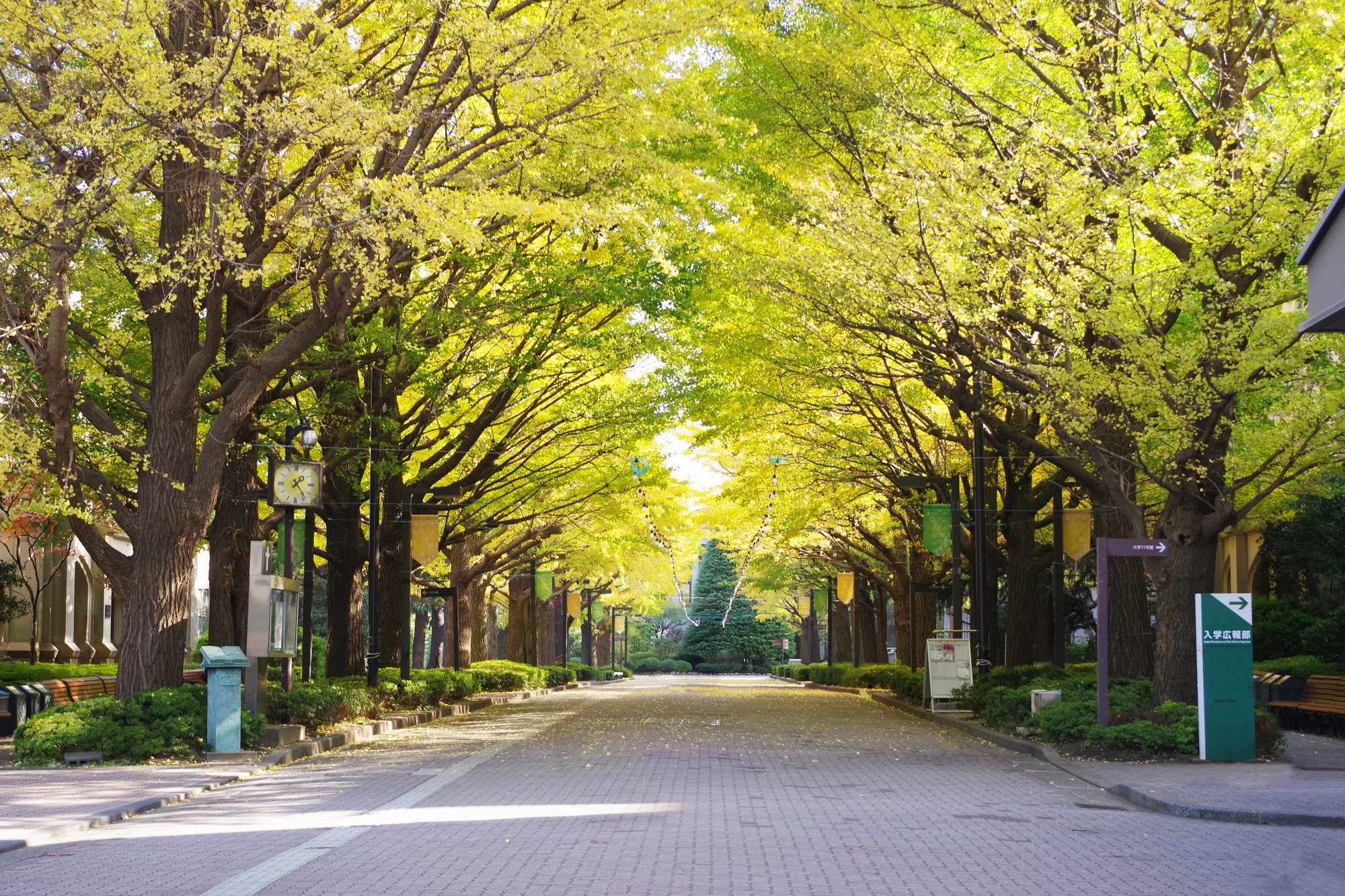 青山学院初等部 合格できる幼児教室まとめ 2025年版｜絶対合格‼️お 